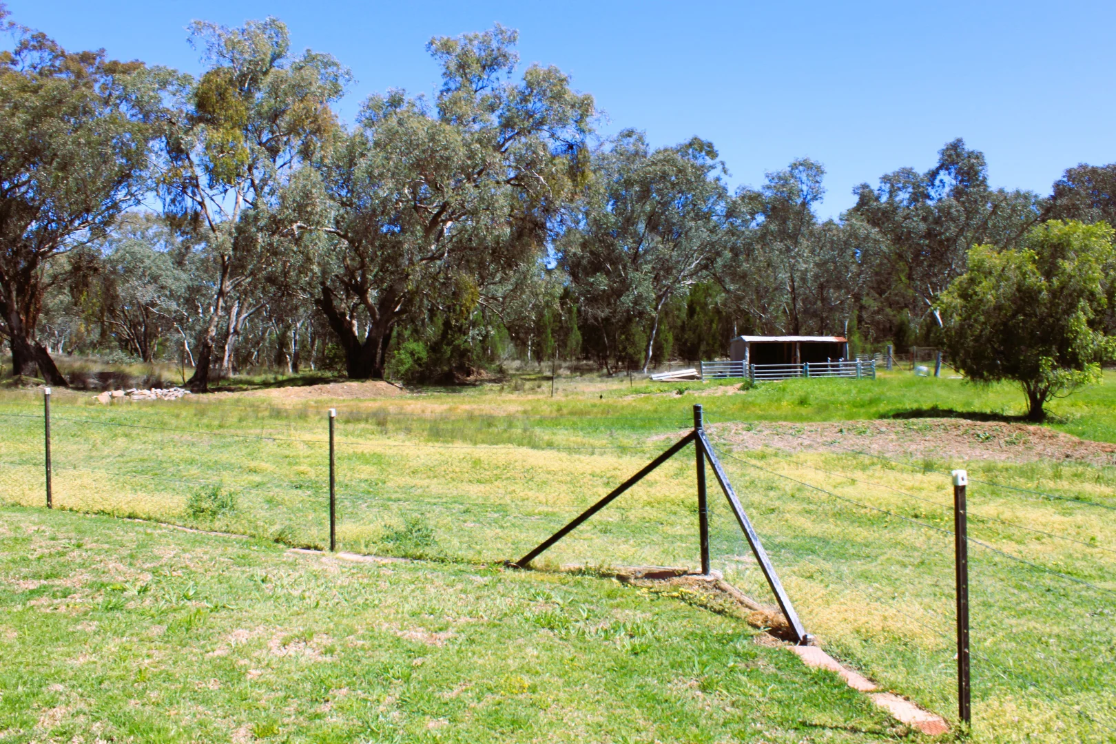 Additional image 20 of 5272 Mid Western Highway, Grenfell NSW 2810