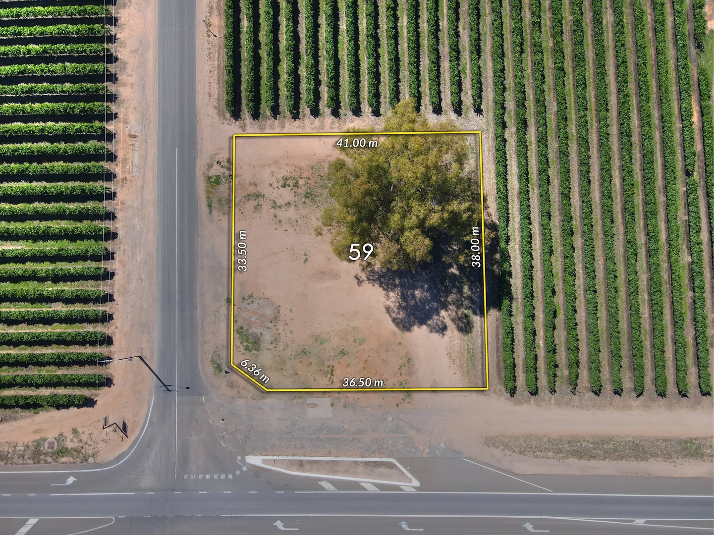 Additional image 2 of 59 Twentyfifth Street, Renmark SA 5341