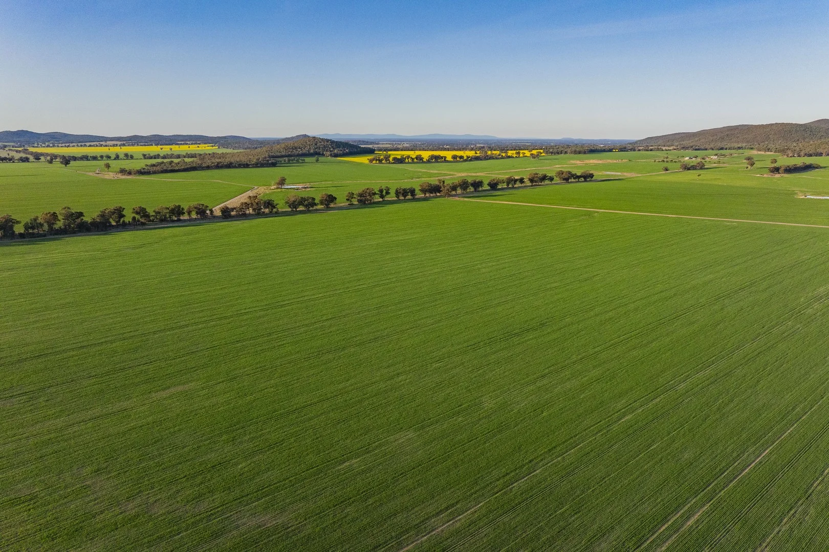 409 Trungley Hall Post Office Road, Temora NSW 2666