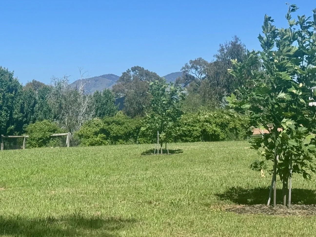 Additional image 7 of 9 Acacia Close, Mansfield VIC 3722