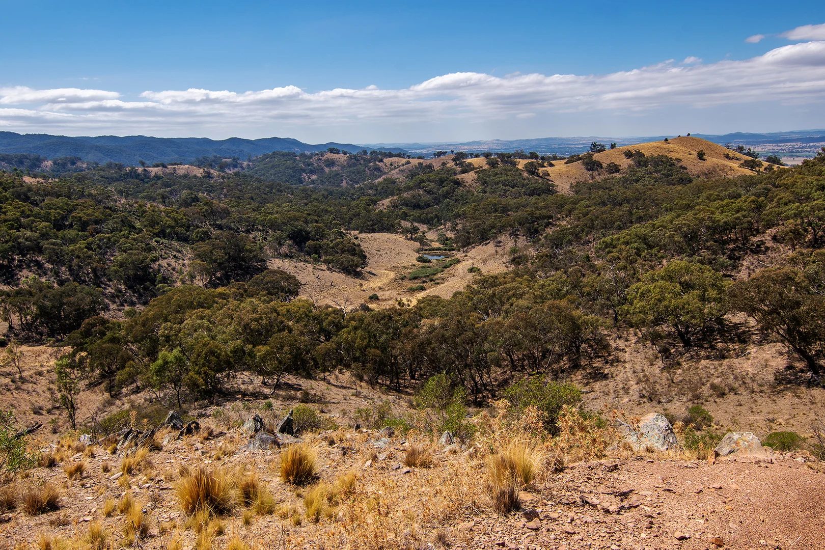 Additional image 15 of 856 Spring Flat Road, Spring Flat NSW 2850