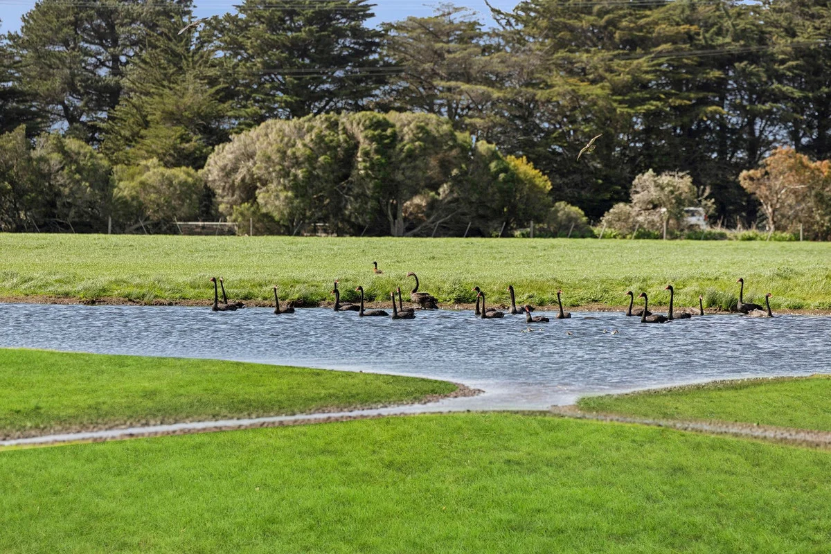 Additional image 4 of 1220 Blackgate Road, Freshwater Creek VIC 3217