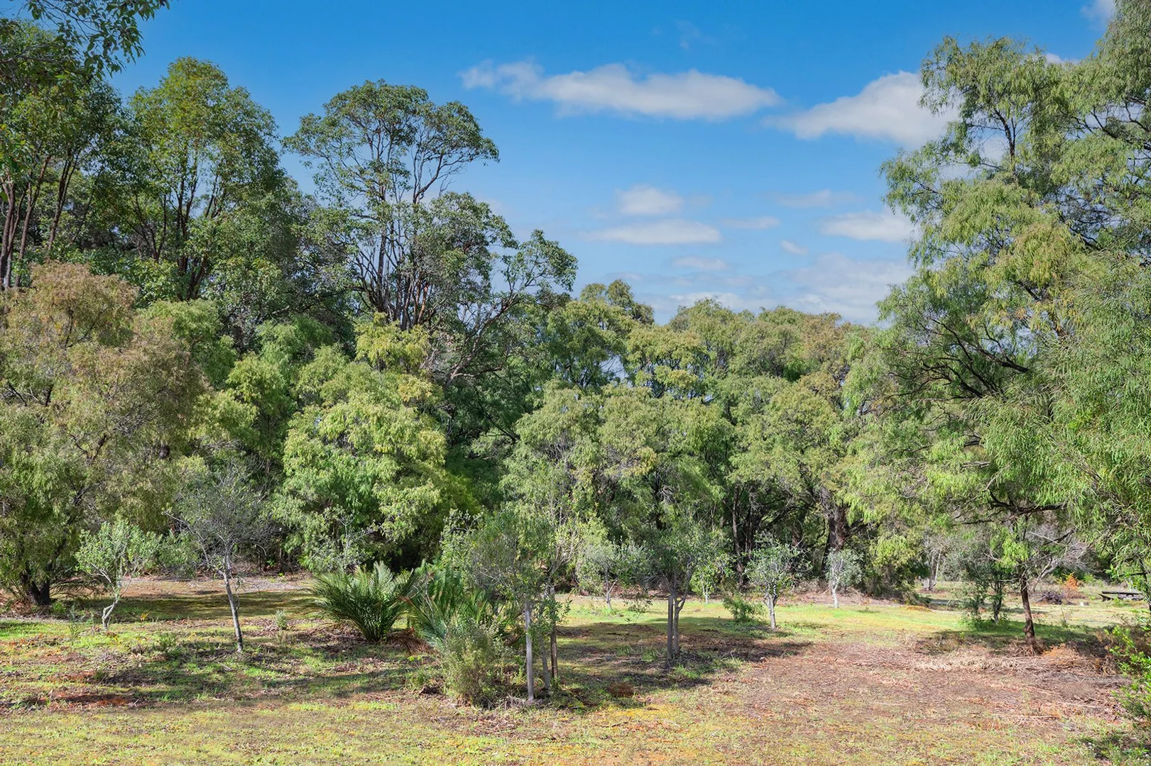 Additional image 5 of Lot Y/423 Sebbes Road, Forest Grove WA 6286