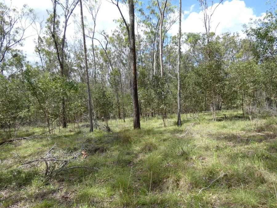 Additional image 35 of 397 Mollenhagens Road, Rosedale QLD 4674