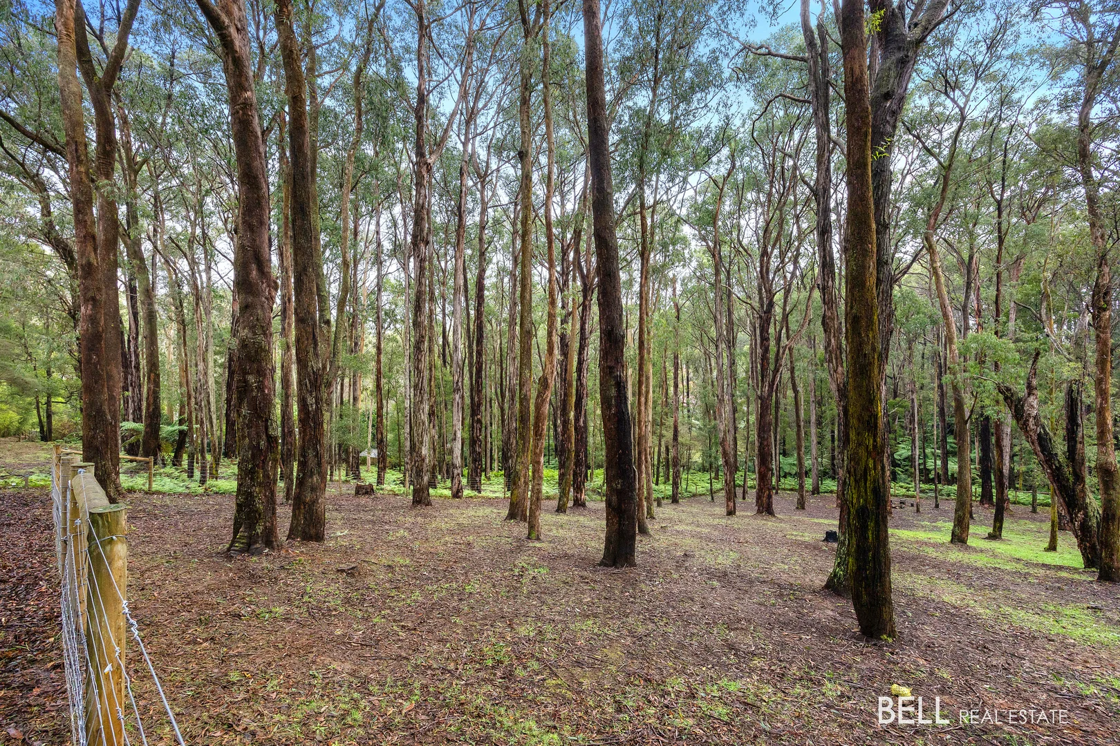 Additional image 10 of 15 Lyrebird Avenue, East Warburton VIC 3799