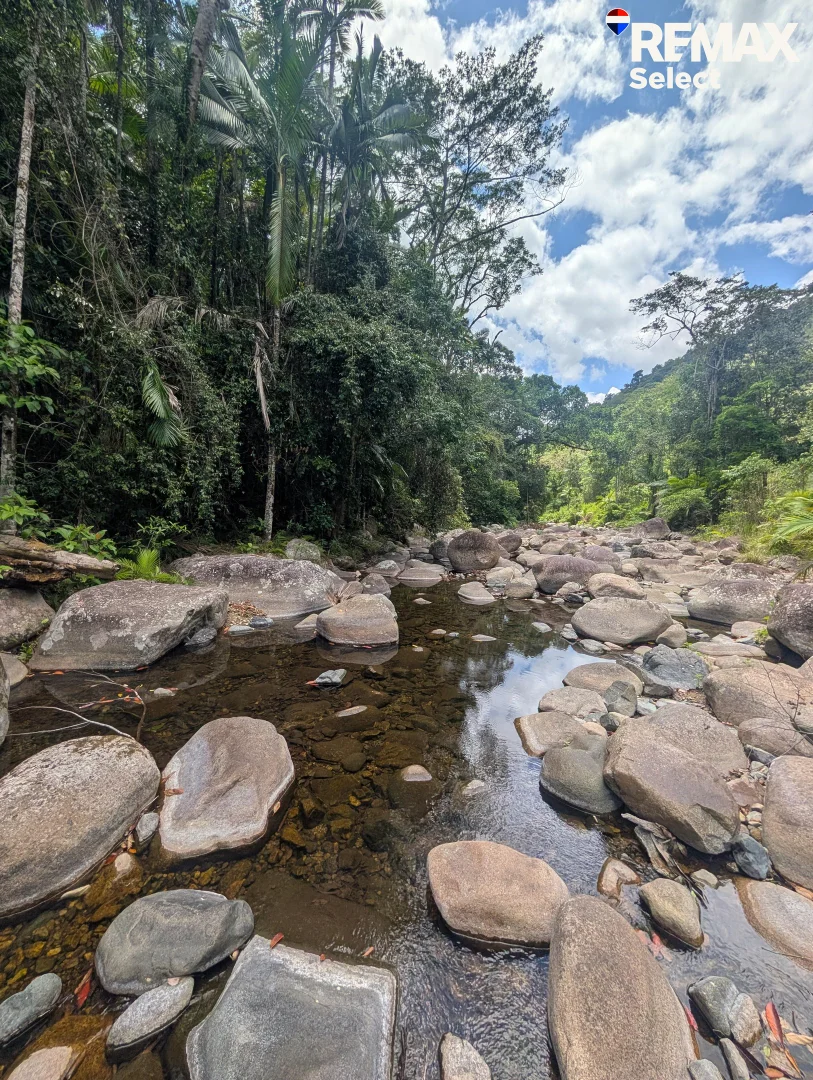 Additional image 30 of 177 Harris Road, Owens Creek QLD 4741