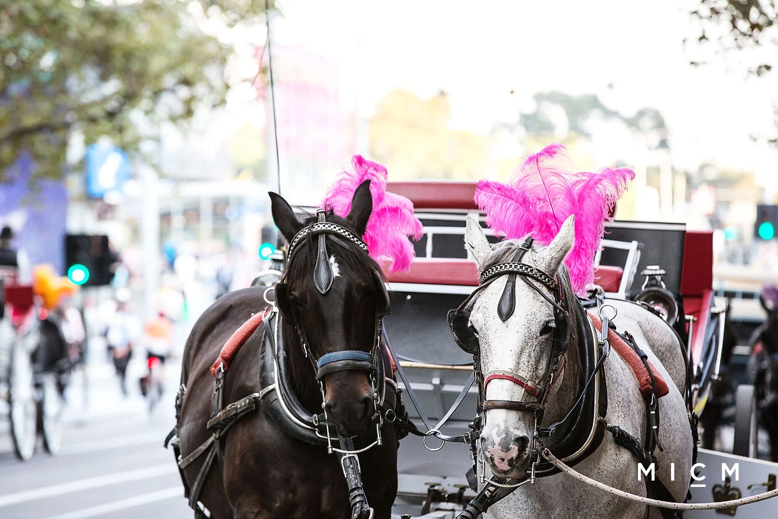 Additional image 12 of 1909/25 Wills Street, Melbourne VIC 3000