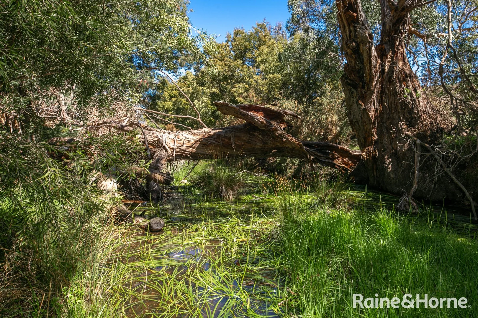 Additional image 33 of 52 Williams Lane, Riddells Creek VIC 3431