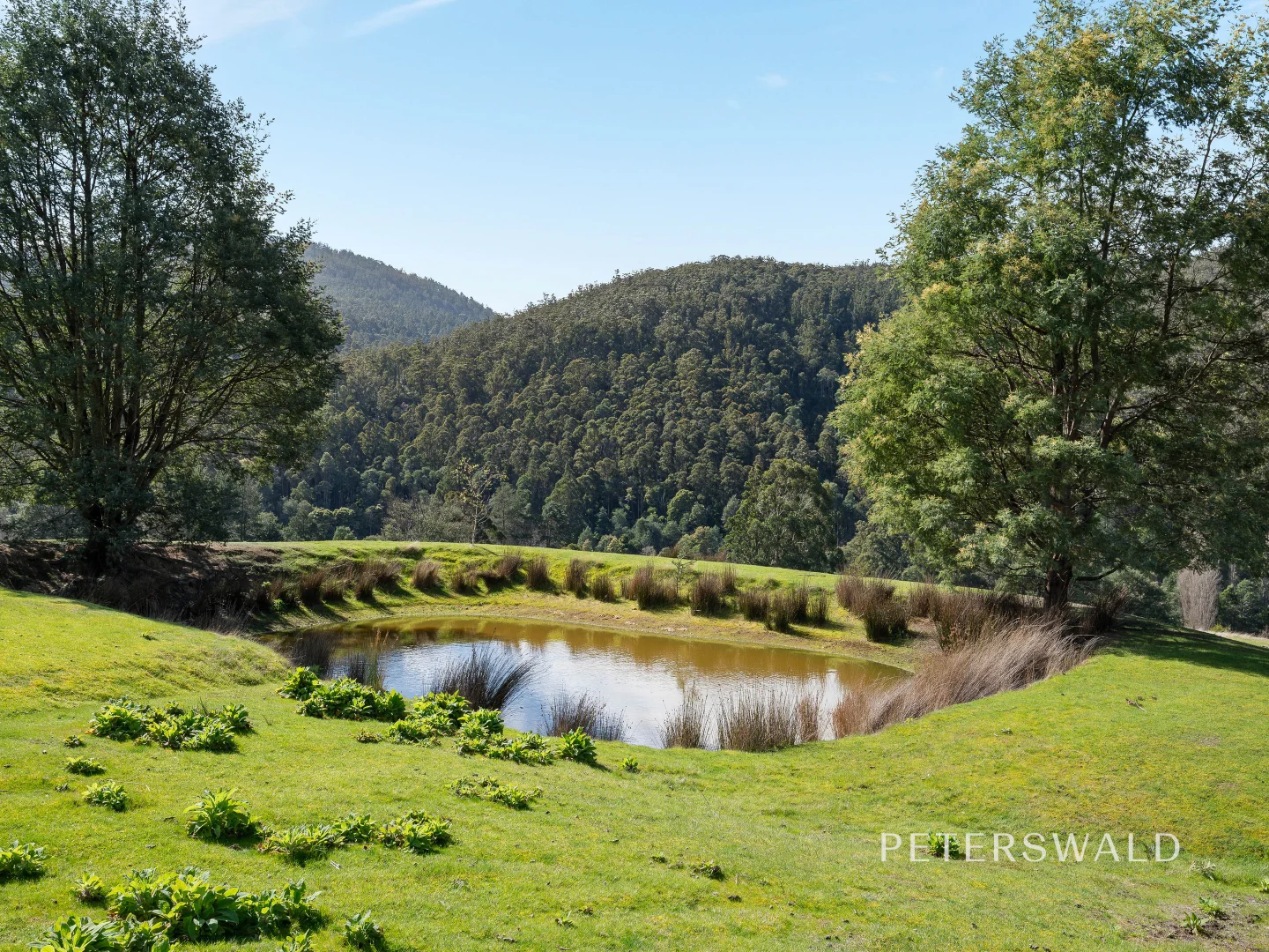 Additional image 27 of 325 Bakers Creek Road, Lucaston TAS 7109