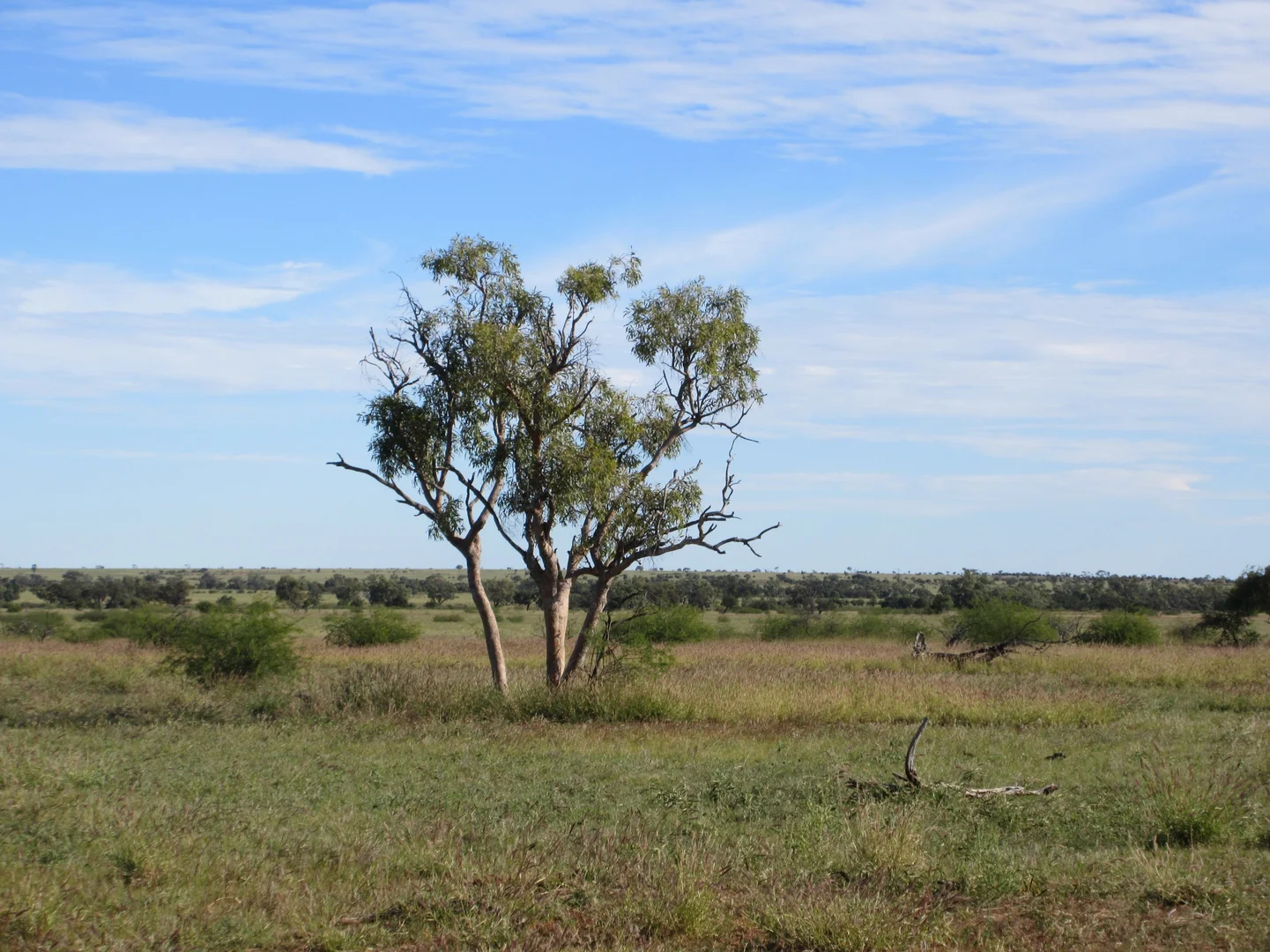 Additional image 15 of 715 Royston Lane, Longreach QLD 4730