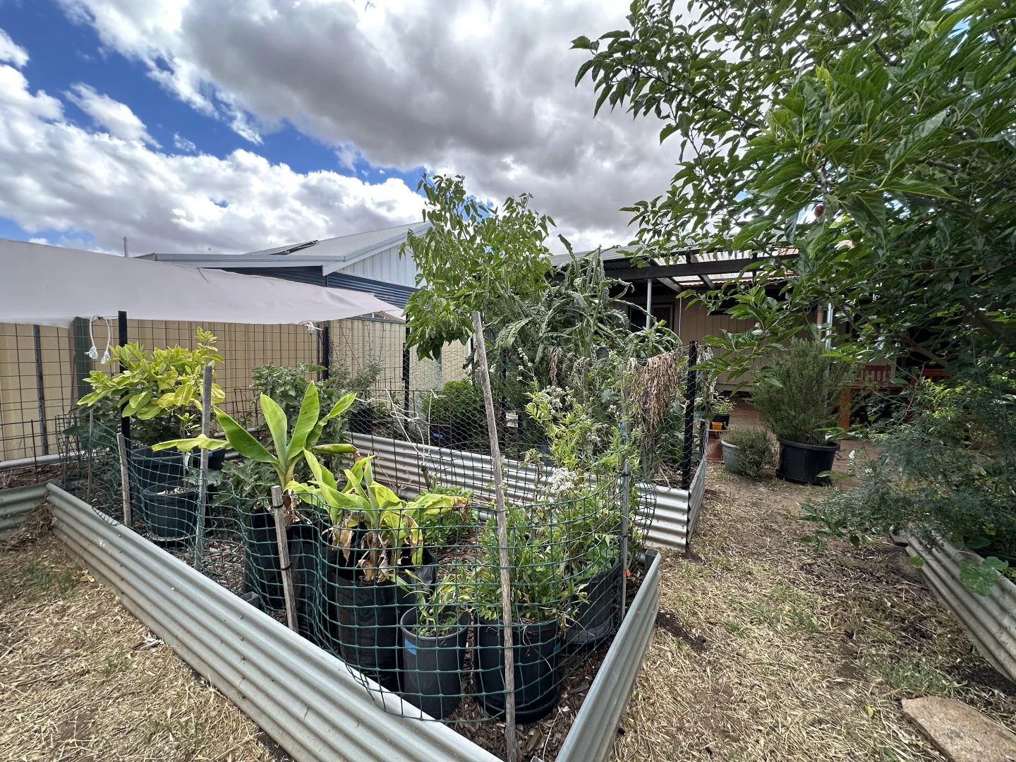 Additional image 31 of 22 Rifle North Street, Wagin WA 6315