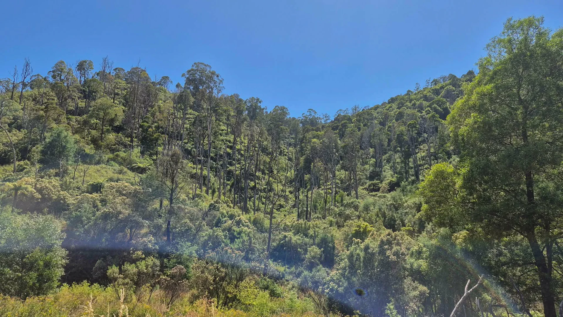 Additional image 15 of 1 Upper Middle Creek Road, Budgeree VIC 3870