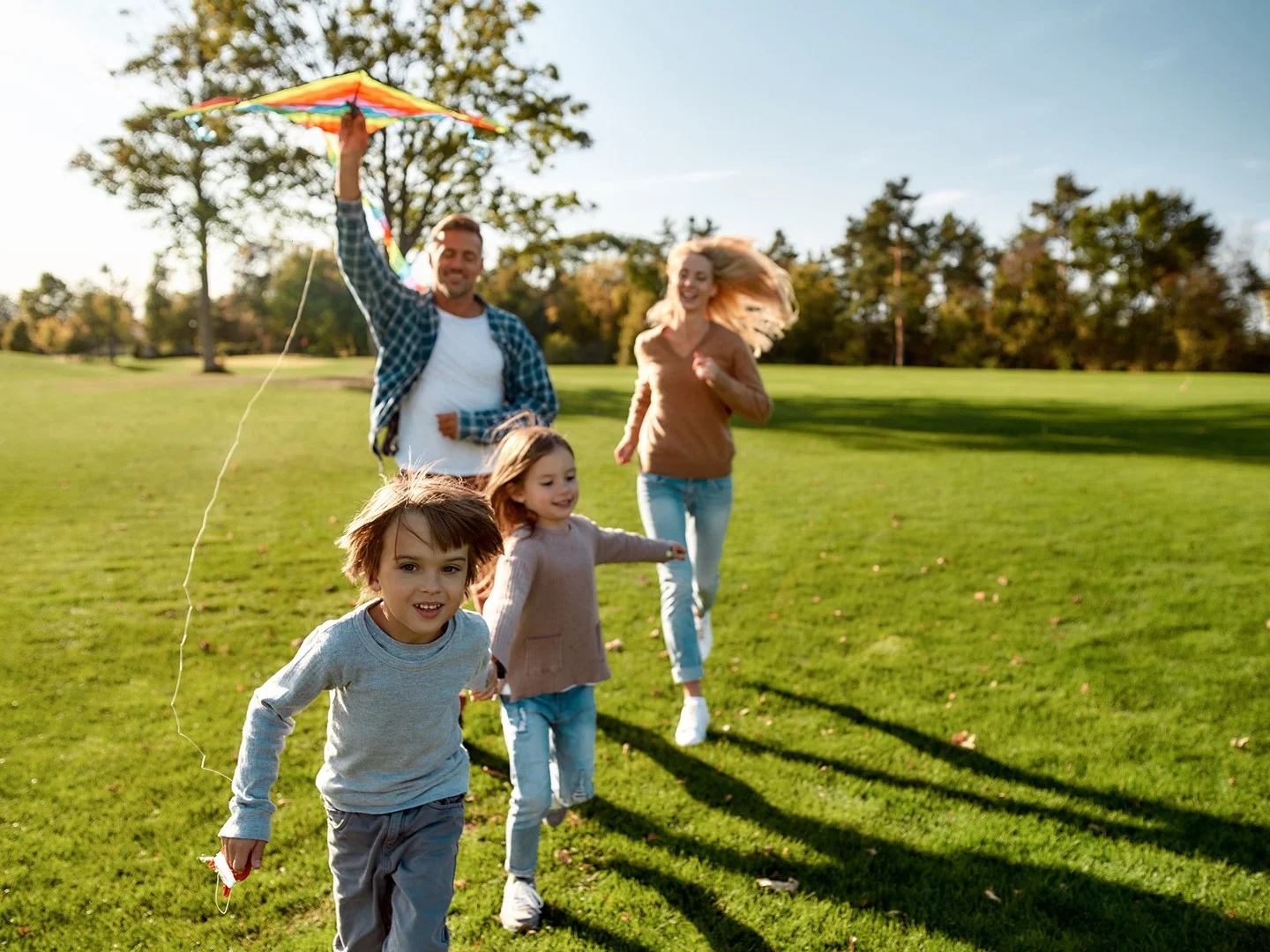 Additional image 9 of Lot 25 Dunlop Way (New Road, Maleny QLD 4552