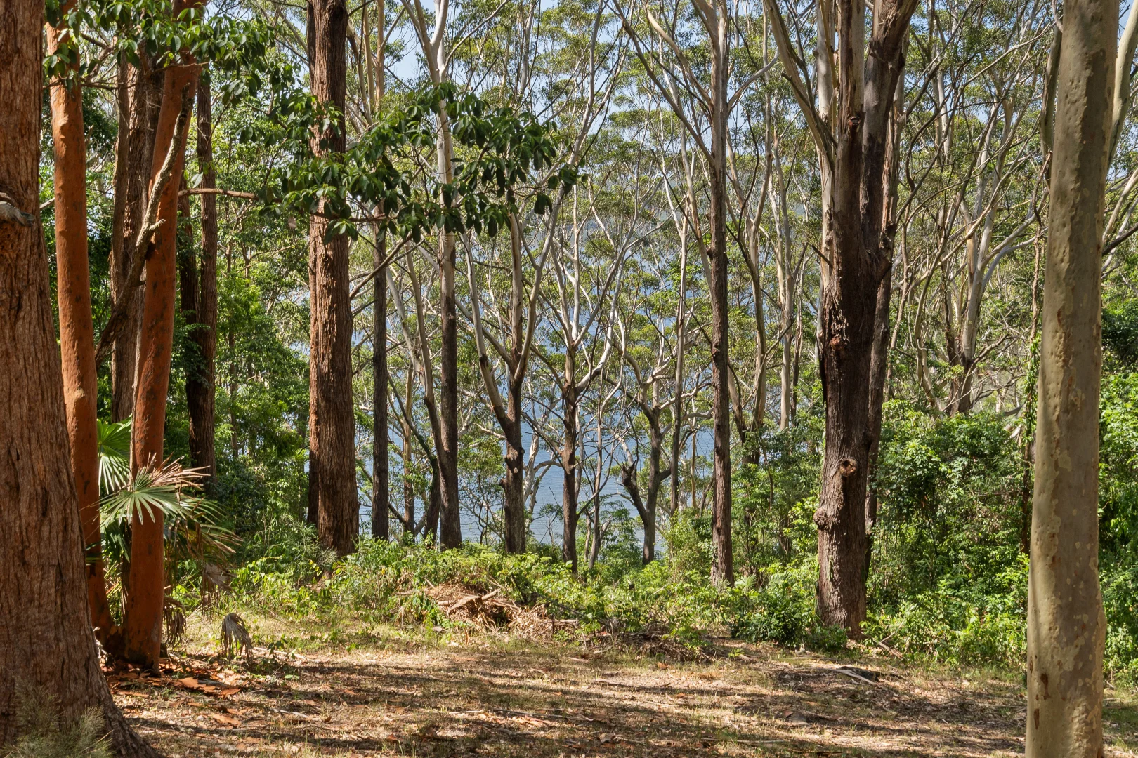 Additional image 4 of 2 Orange Grove, Smiths Lake NSW 2428