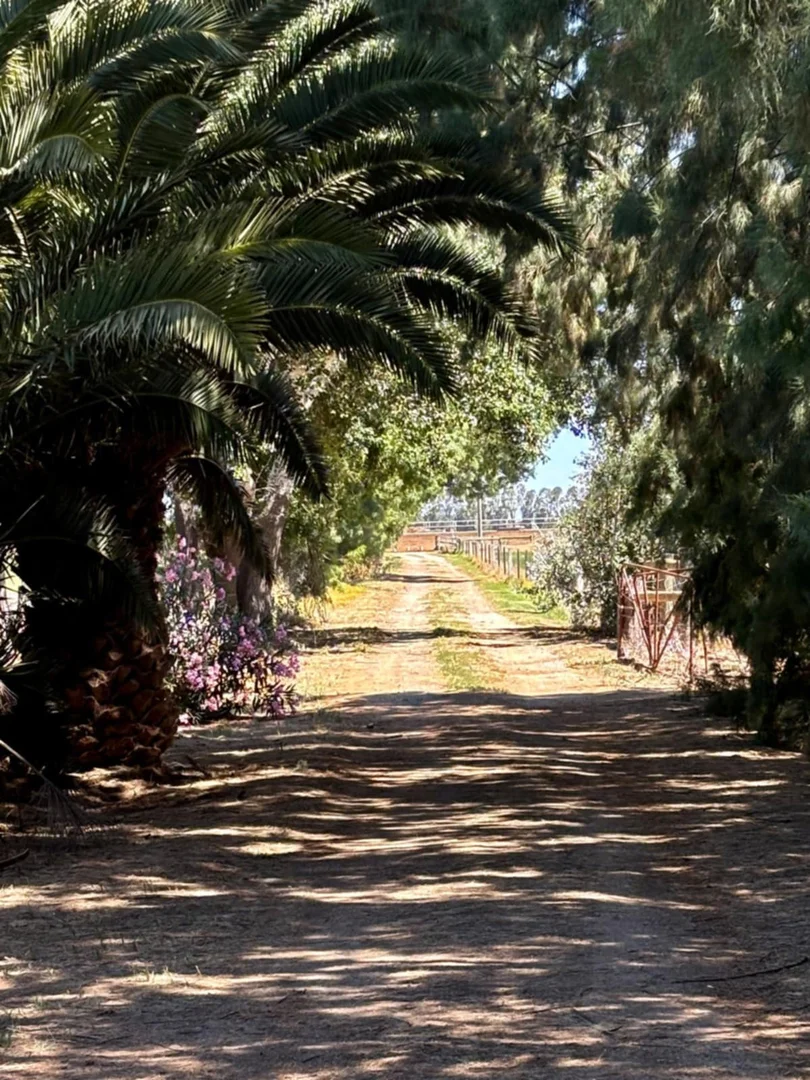 Additional image 45 of 674 Singer Road, Bamawm VIC 3561