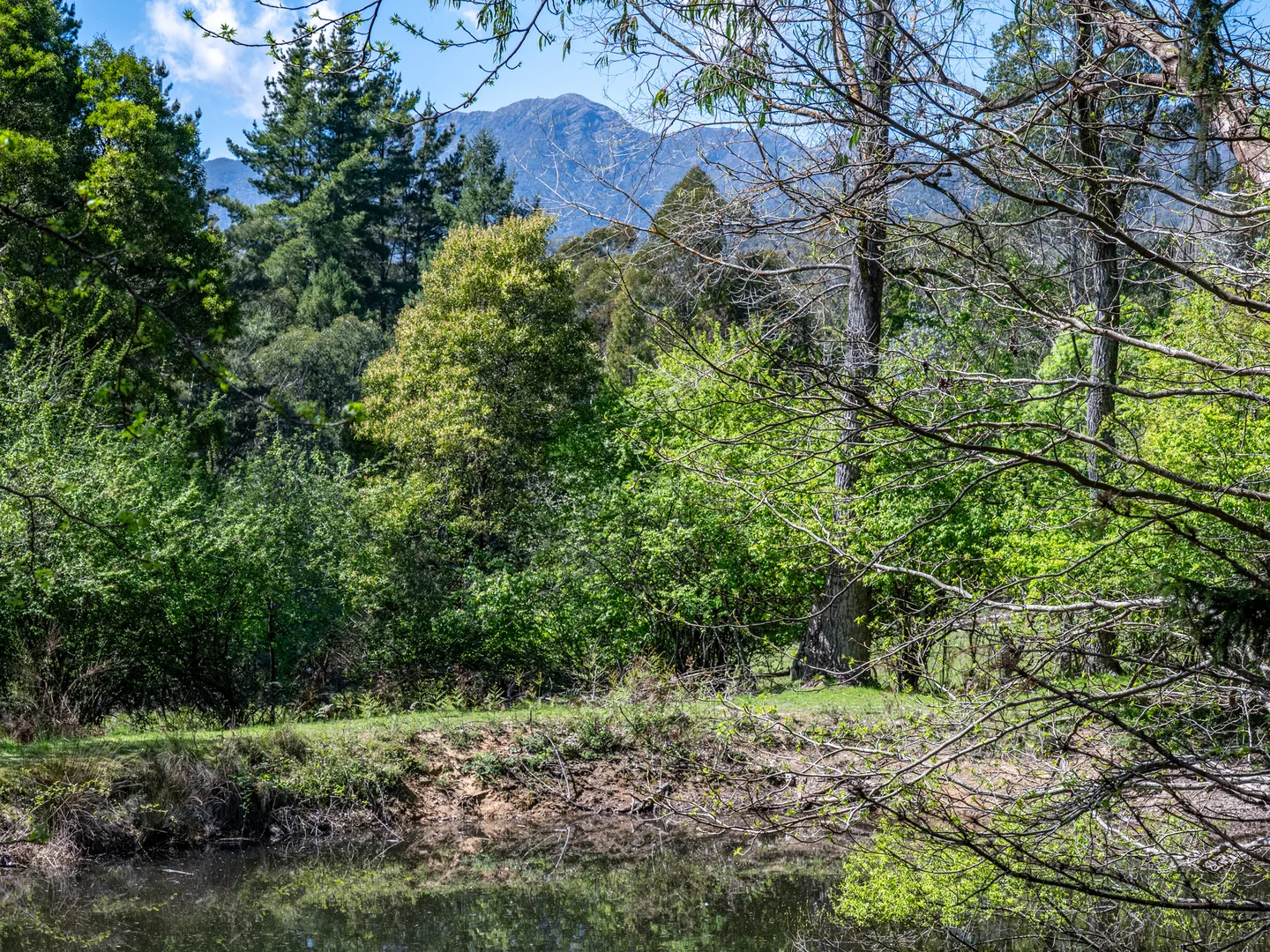 Additional image 13 of 2730 Mt Buller Road, Merrijig VIC 3723