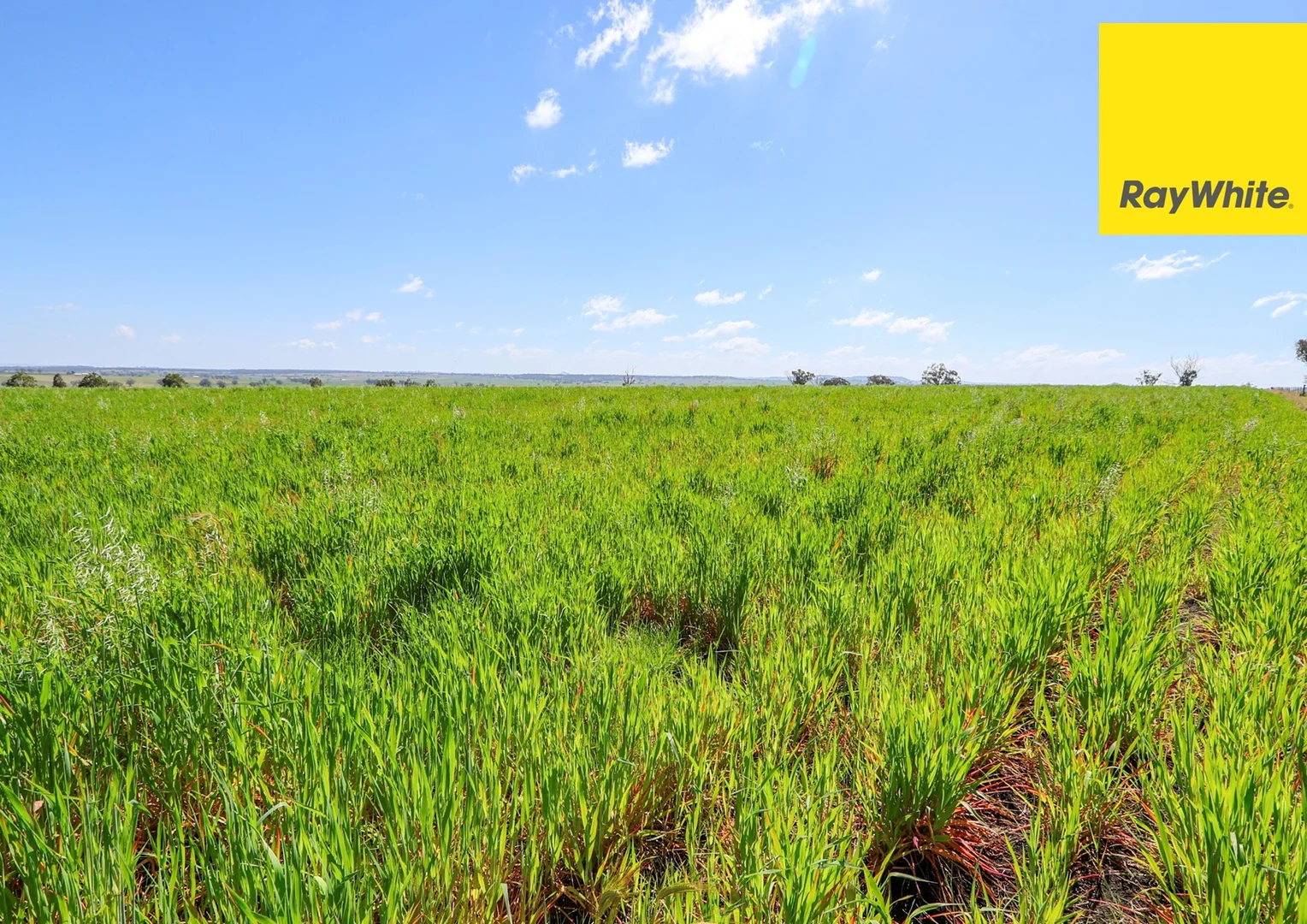 Additional image 26 of 154 Delungra Bypass Road, Inverell NSW 2360