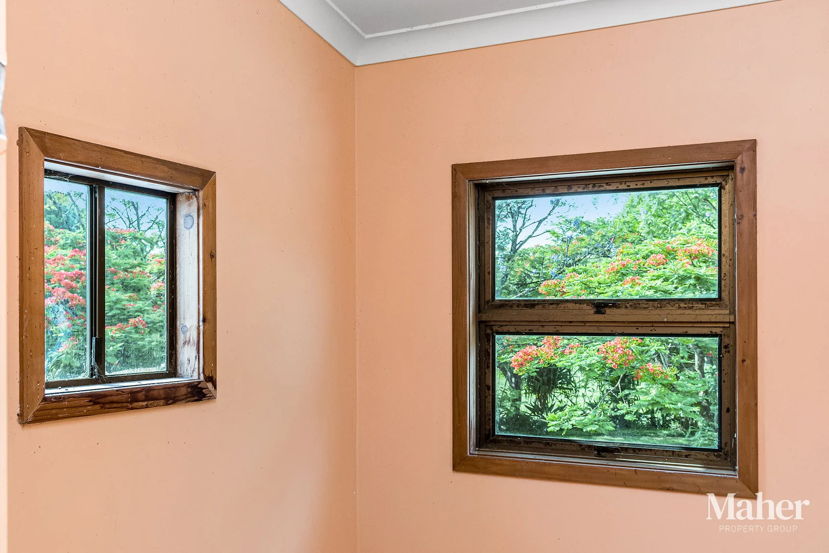 Additional image 11 of 141 Pearson Road, Eltham NSW 2480