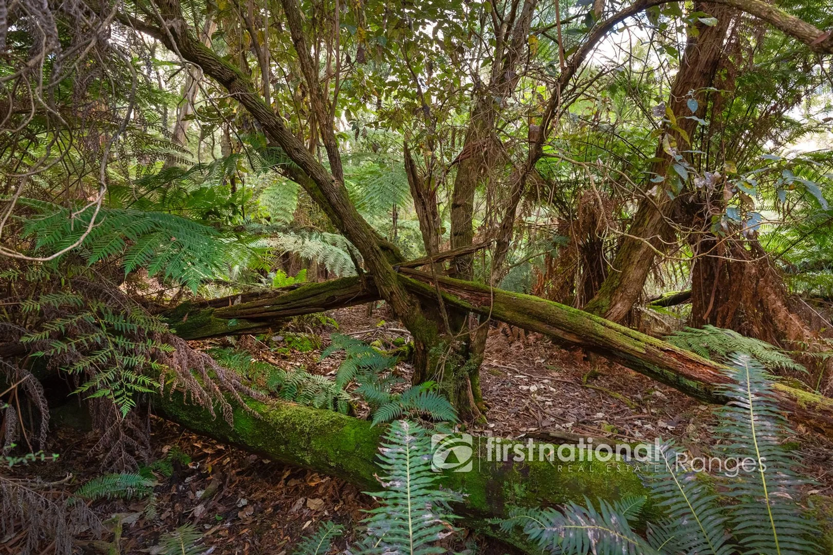 Additional image 13 of 31 Coulson Road, Monbulk VIC 3793