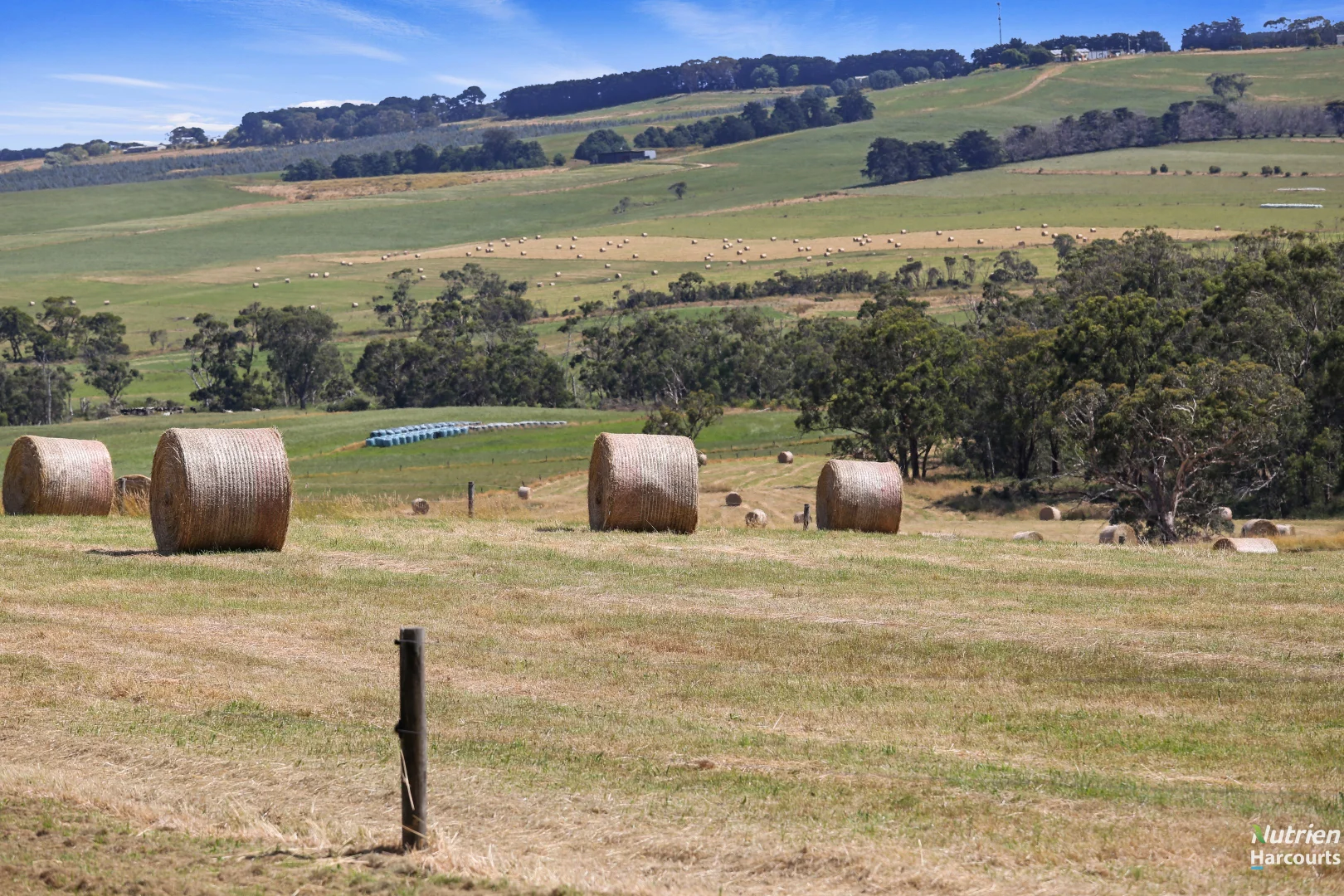 Additional image 4 of 175 Bornong Road, Cooriemungle VIC 3268