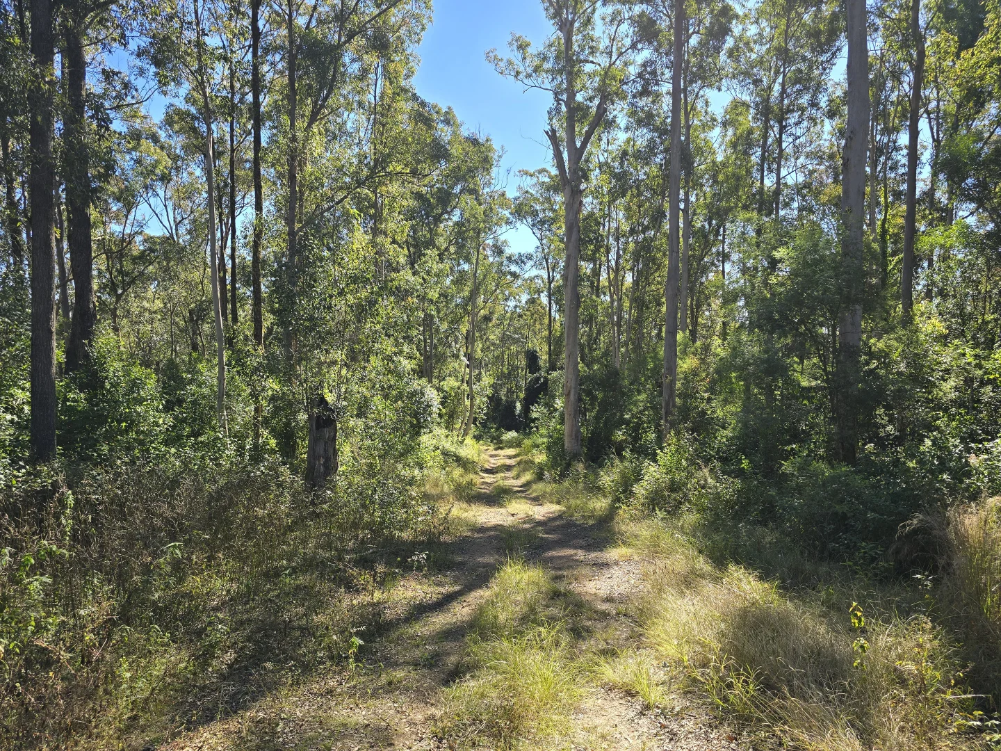 Additional image 2 of 0 SUNDAY CREEK ROAD, Jimna QLD 4515