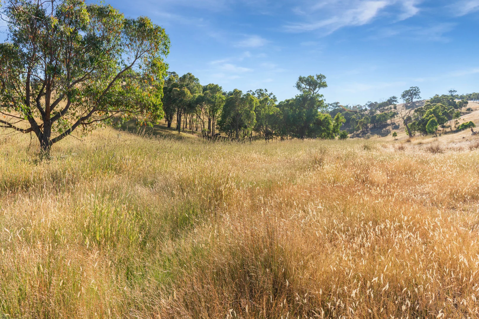 Additional image 20 of 360 Simon Hill Road, Wallan VIC 3756