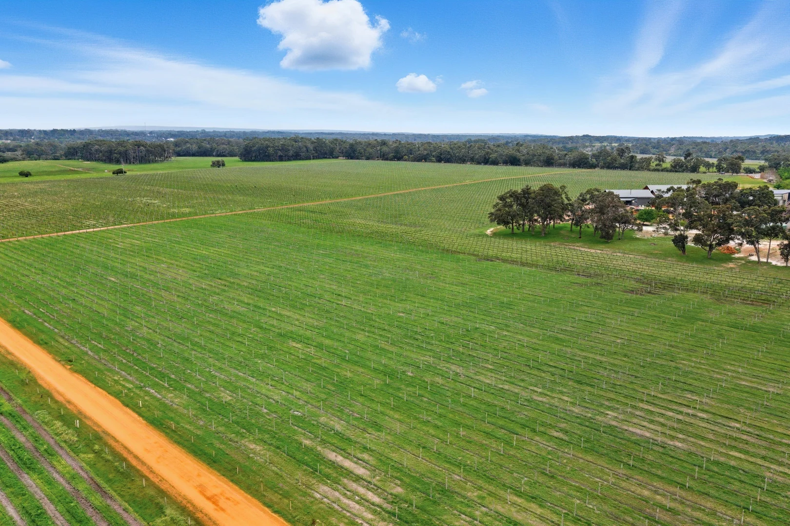 Additional image 18 of Lot PL 232 Jollytail Street, Witchcliffe WA 6286