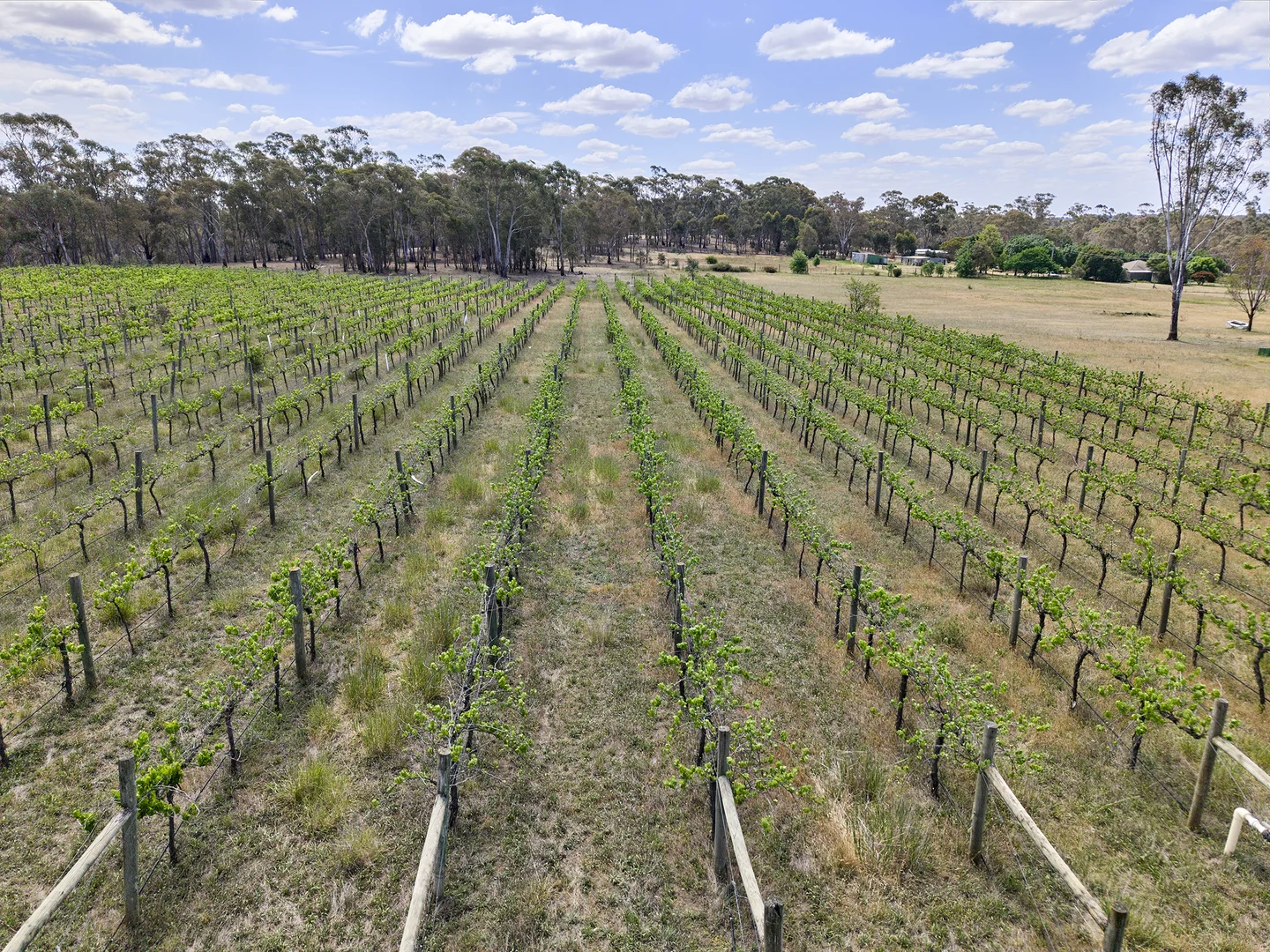 Additional image 20 of 4536 McIvor Highway, Heathcote VIC 3523