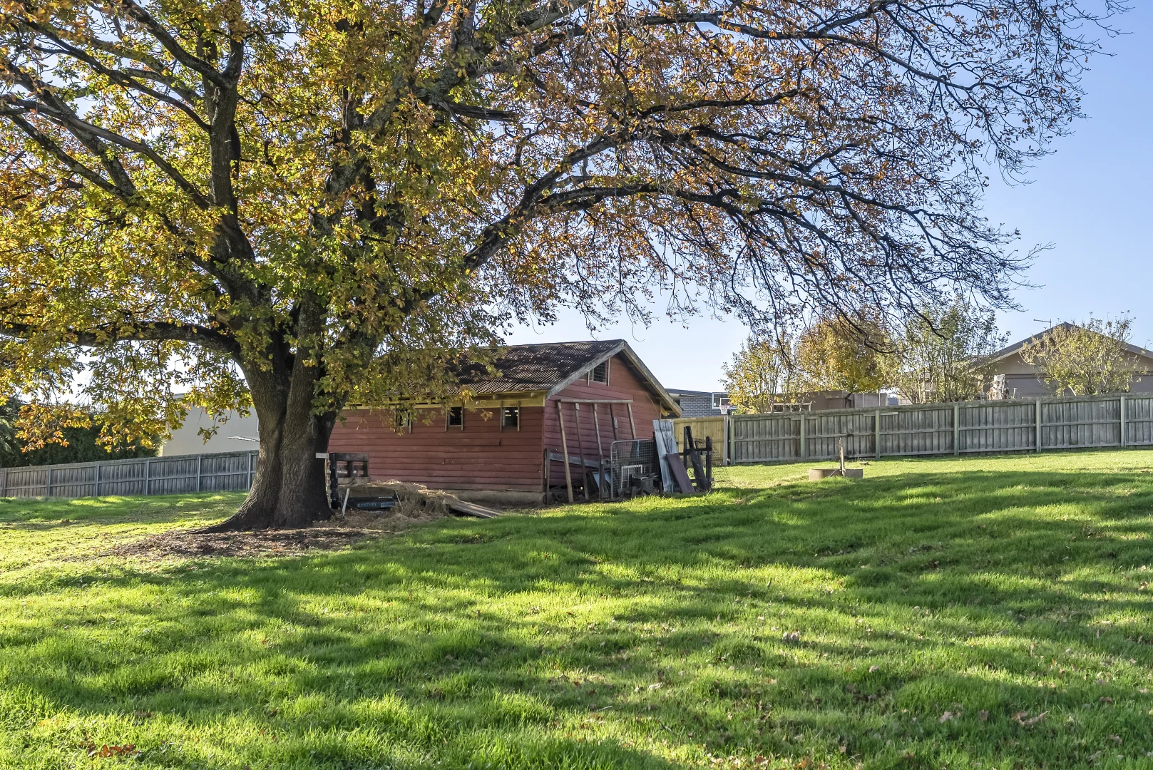 Additional image 15 of 12 Ashfield Court, St Leonards TAS 7250