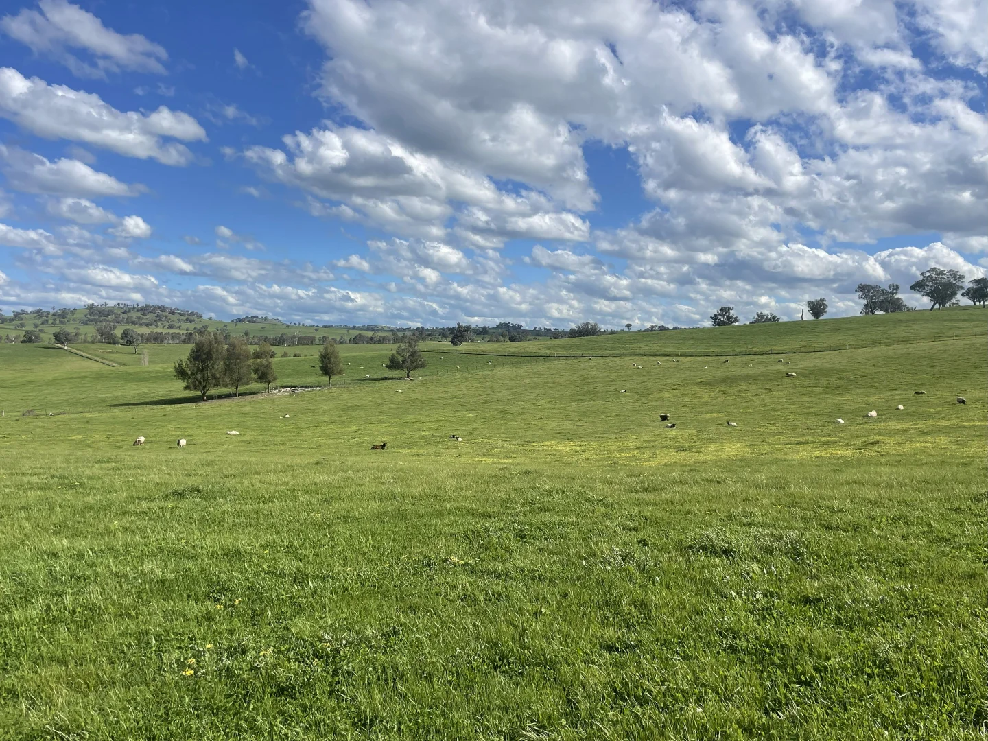 Additional image 8 of Lot 70 Cooney's Creek Road, Jugiong NSW 2726