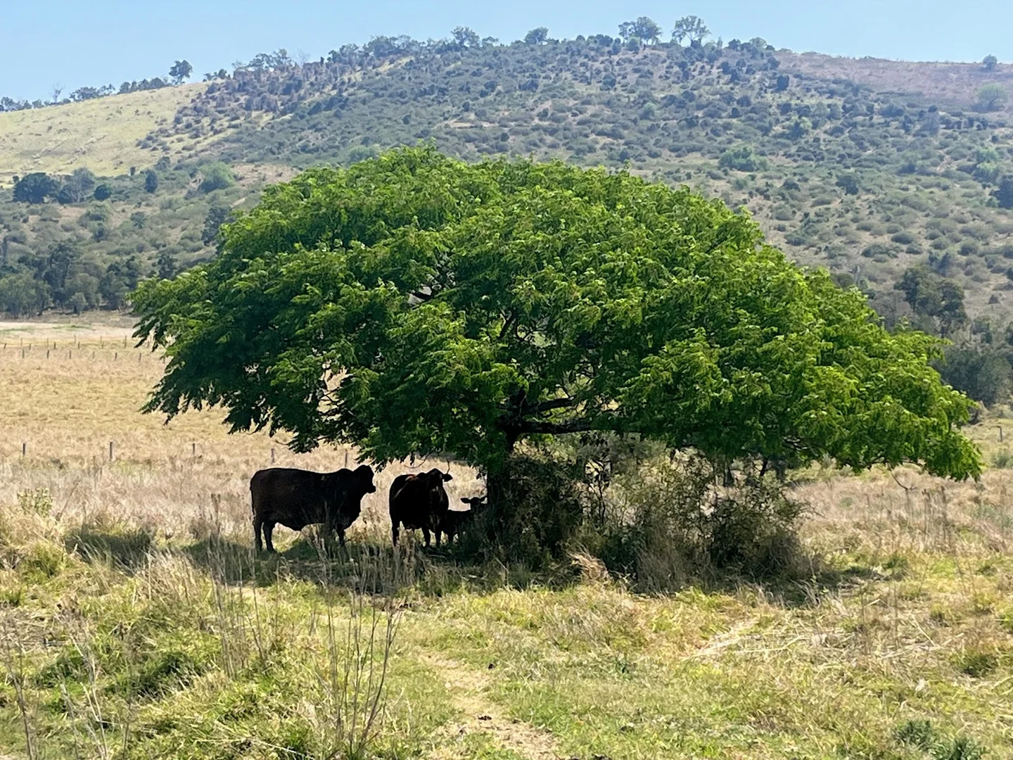 Additional image 26 of 52 Milford Middle Road, Milford QLD 4310