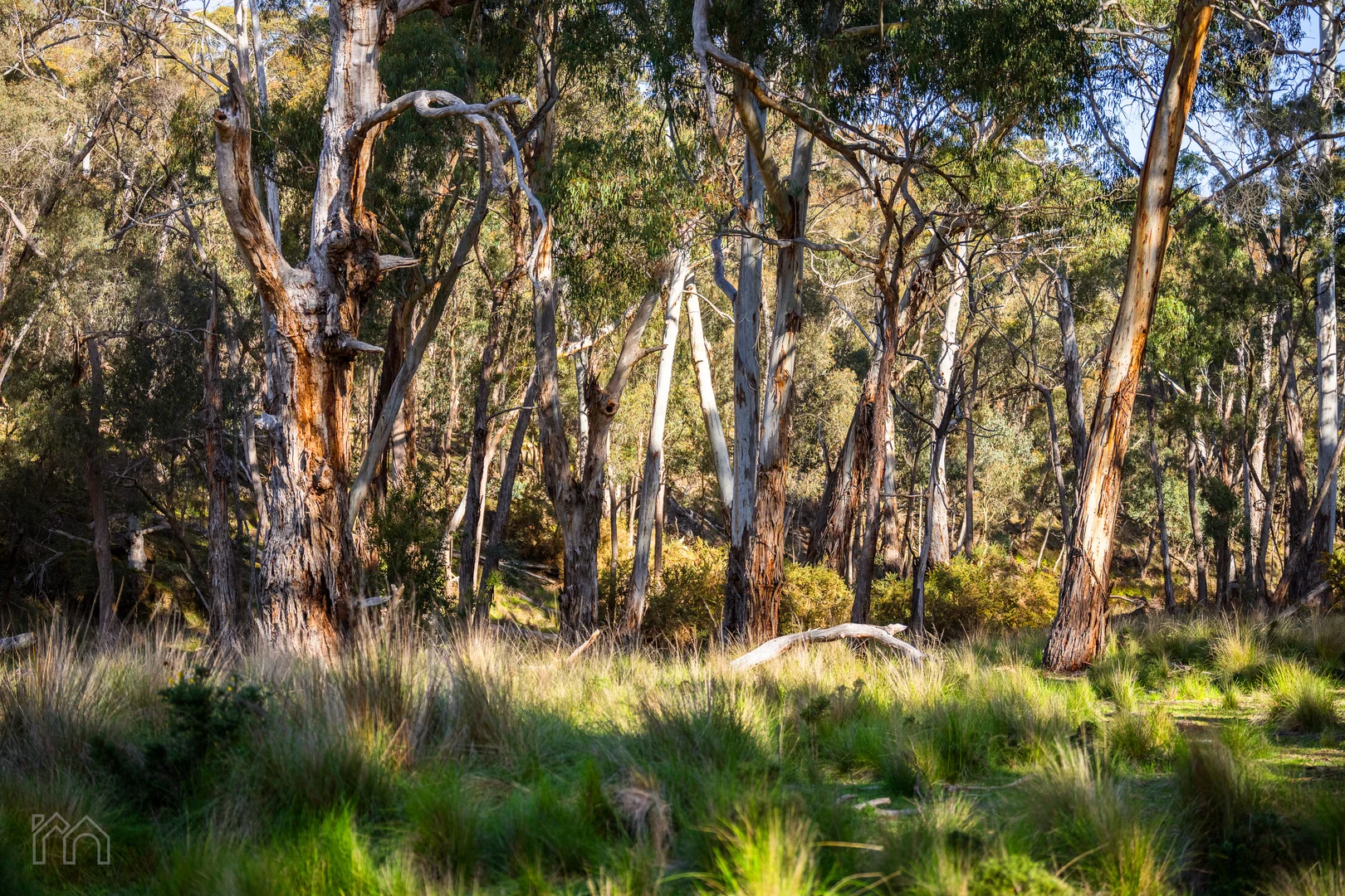 Additional image 30 of 340 Eastern Hill Road, Blampied VIC 3364