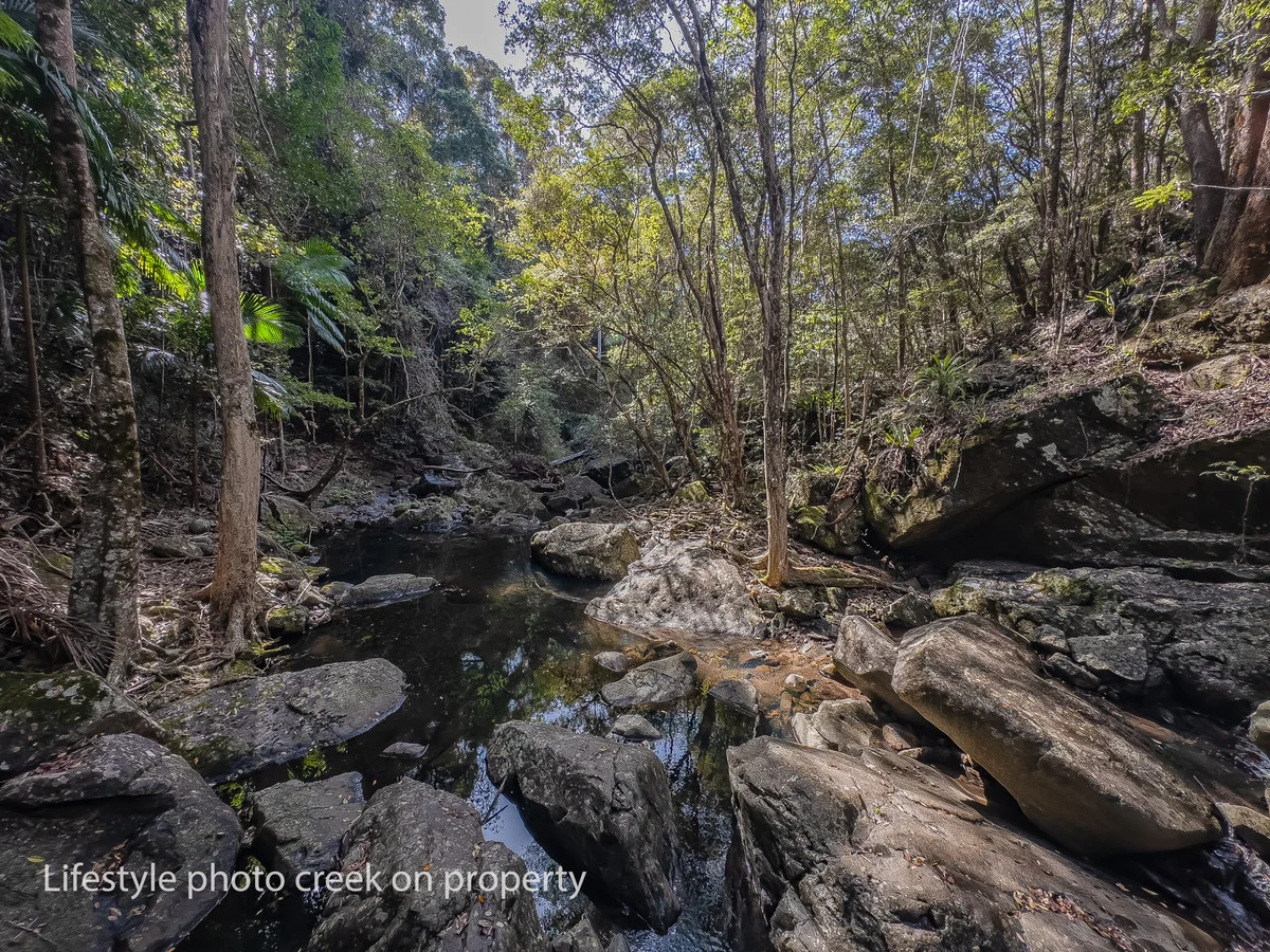 Additional image 21 of Share 38/193 Hidden Valley Road, Eungella NSW 2484