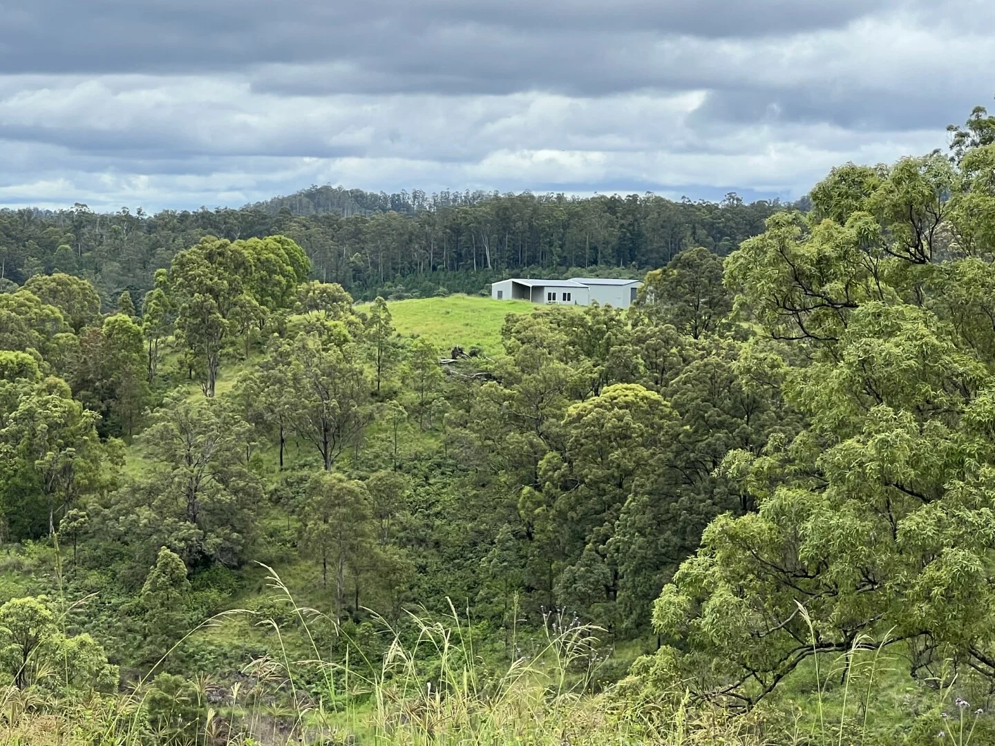 Additional image 35 of 59 Wyndham Road, Wyneden NSW 2474