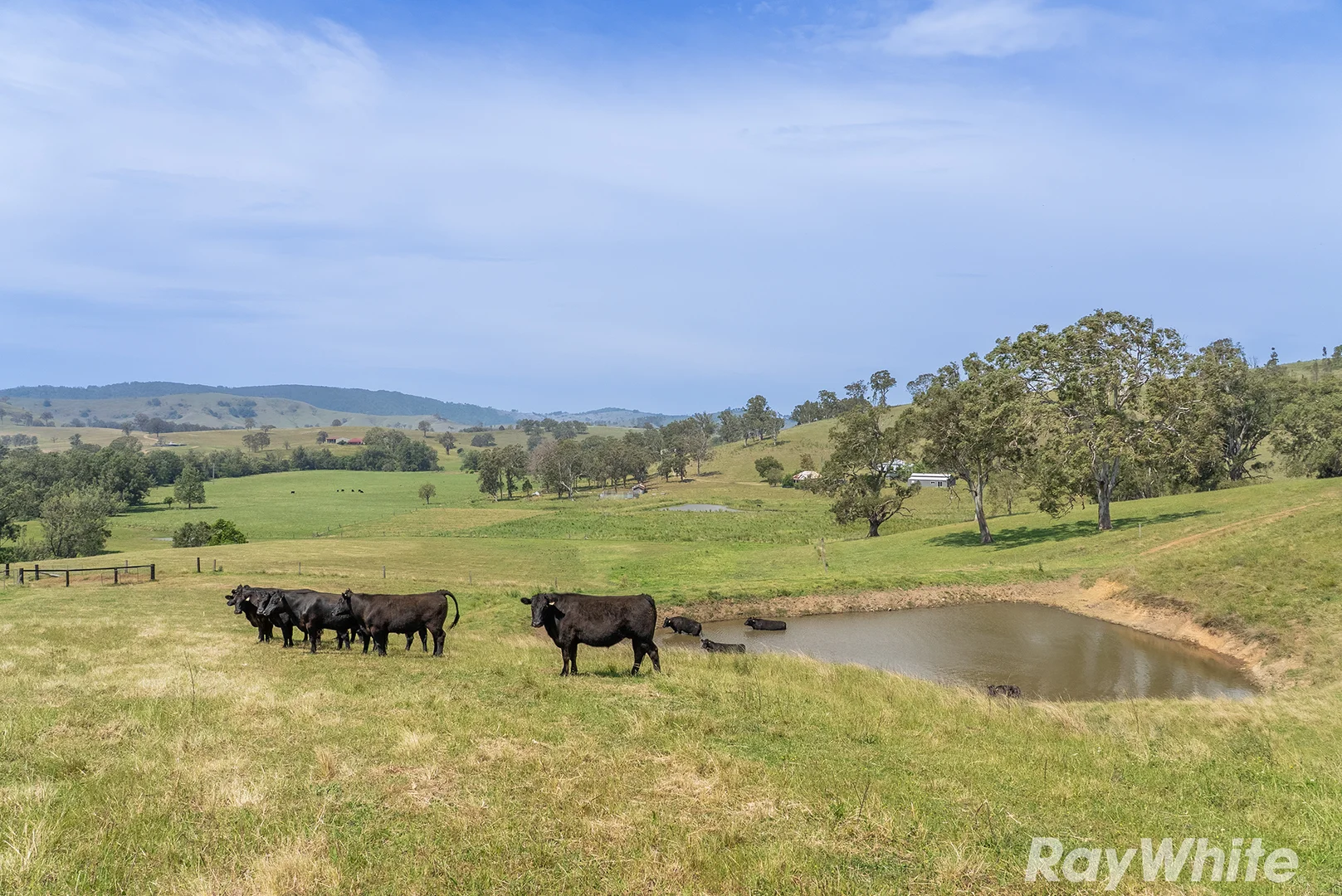 Additional image 8 of 88 Turnbulls Road, East Gresford NSW 2311