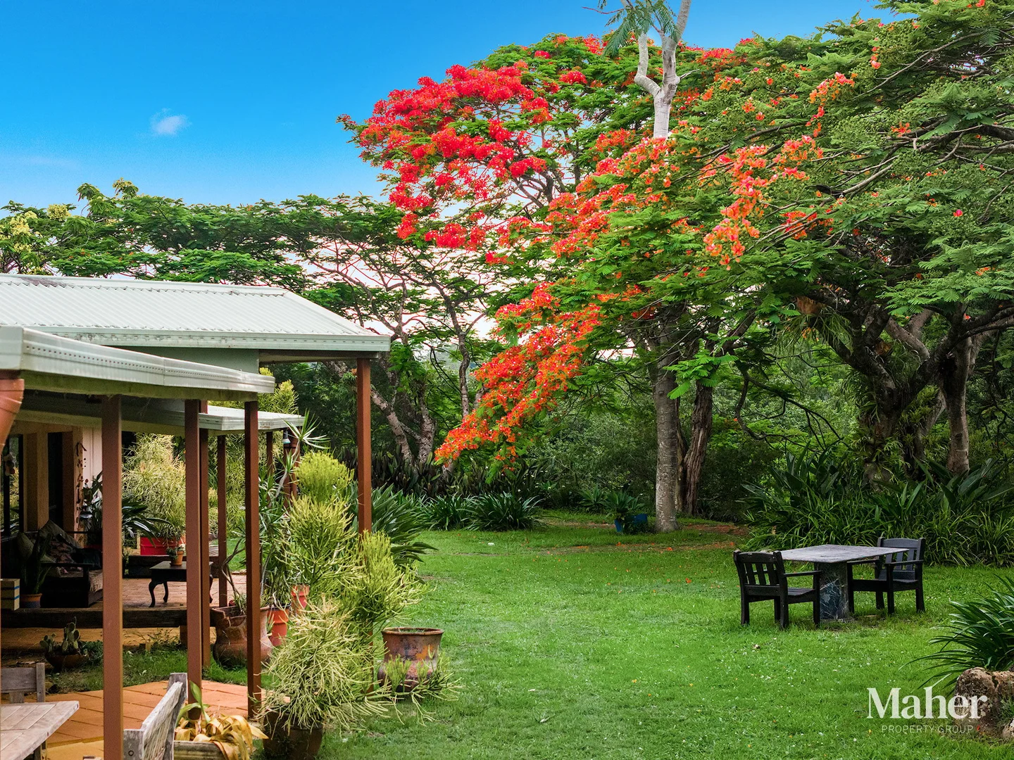 Additional image 4 of 141 Pearson Road, Eltham NSW 2480