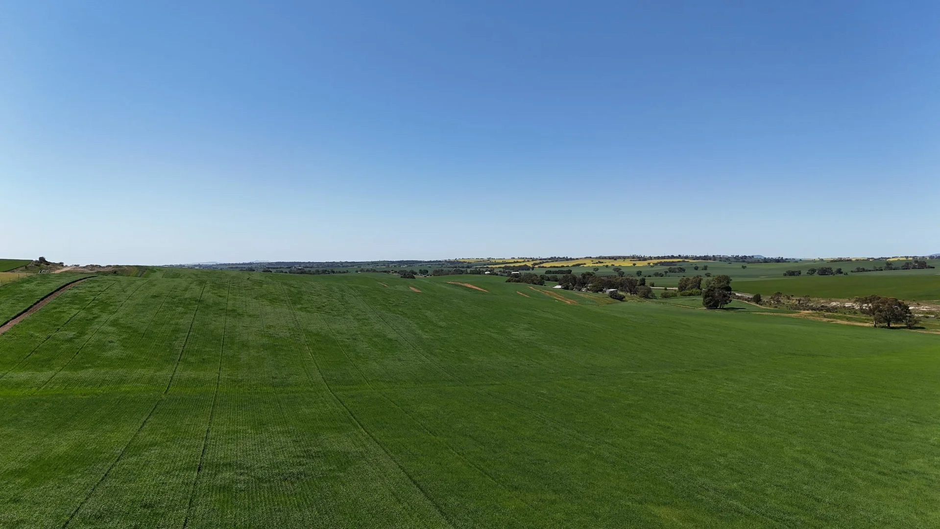 Additional image 6 of 'Ryans' Archie Road, Murray Town SA 5481