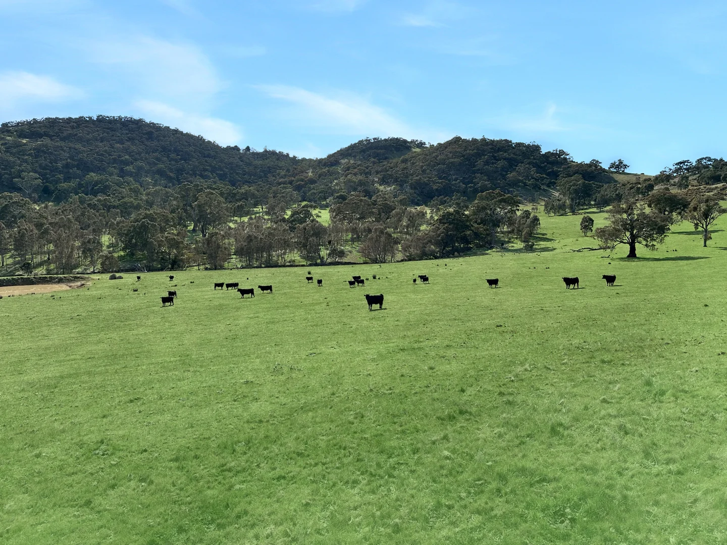 Additional image 36 of LOT 2 ON PS716983N L J DAWSON ROAD, Elmhurst VIC 3469