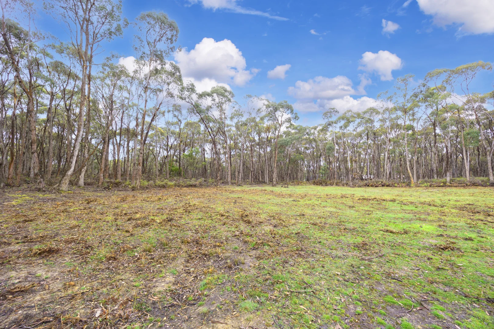 Additional image 5 of 234 Post Office Road, Smythes Creek VIC 3351