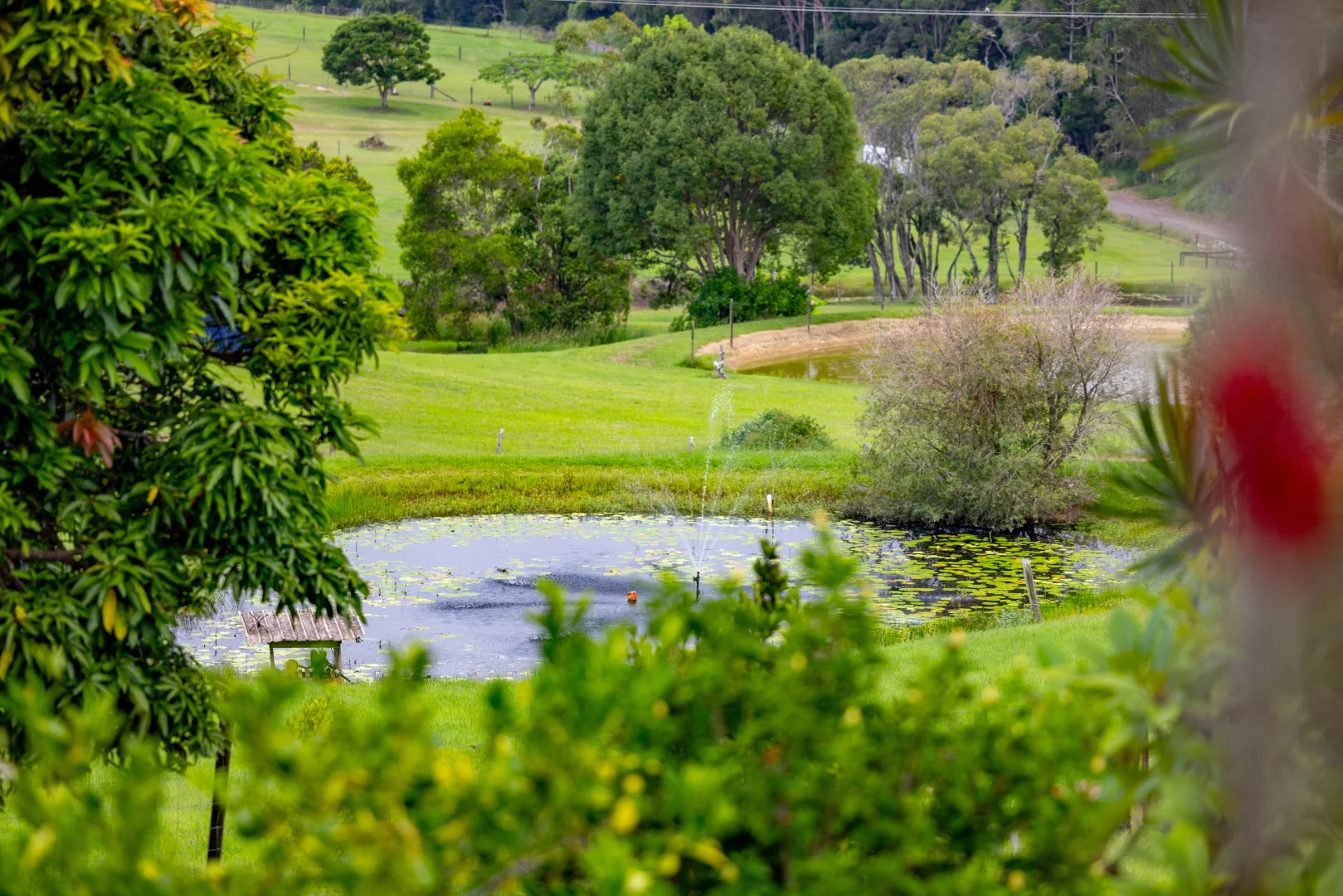 Additional image 9 of 8 Pine Tree Drive, Lake Macdonald QLD 4563