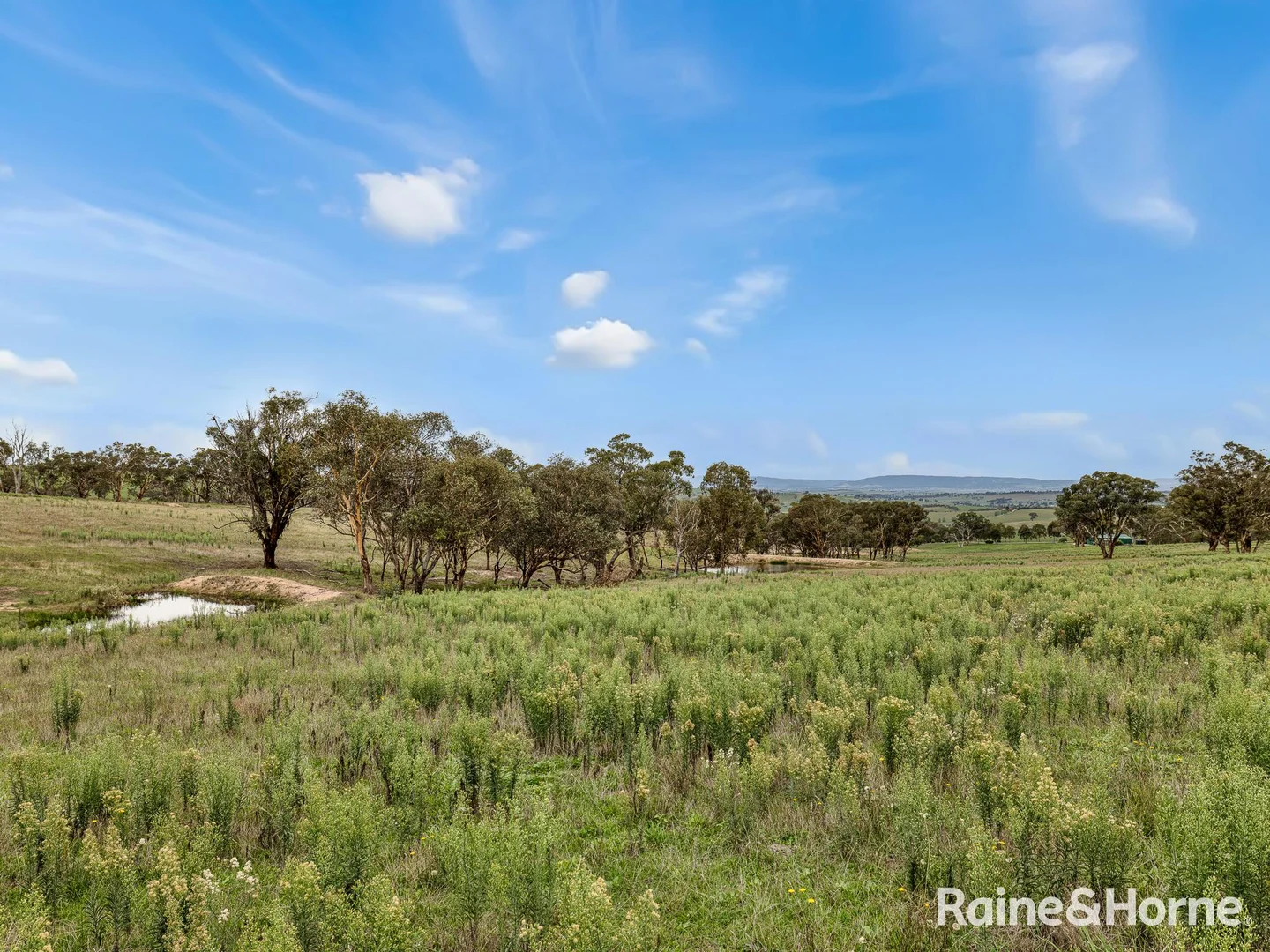 Additional image 34 of 223 Wimbledon Road, Georges Plains NSW 2795