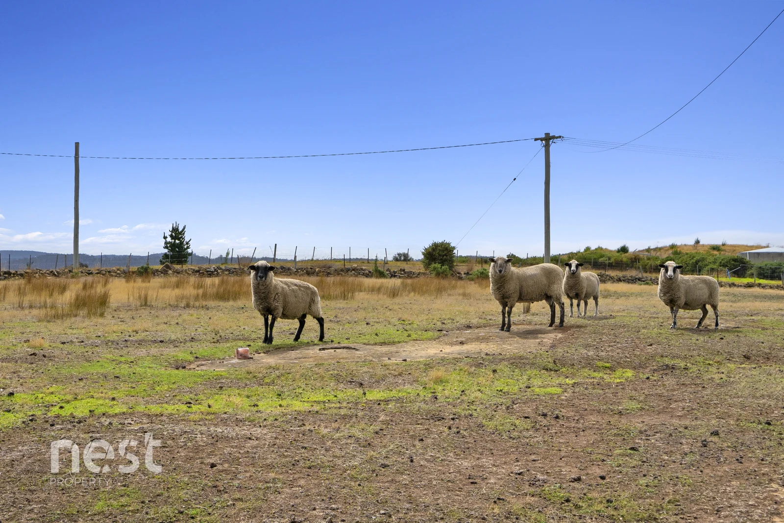 Additional image 22 of 6 Whynyates Street, Oatlands TAS 7120