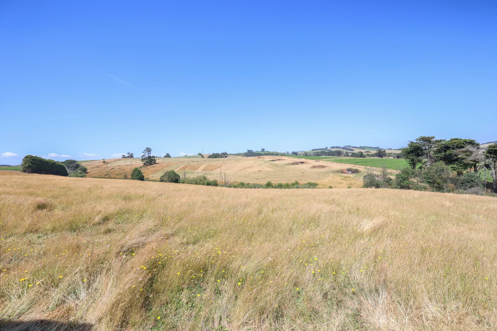 Additional image 8 of Lot 2/107 Cooks Road, Thorpdale VIC 3835