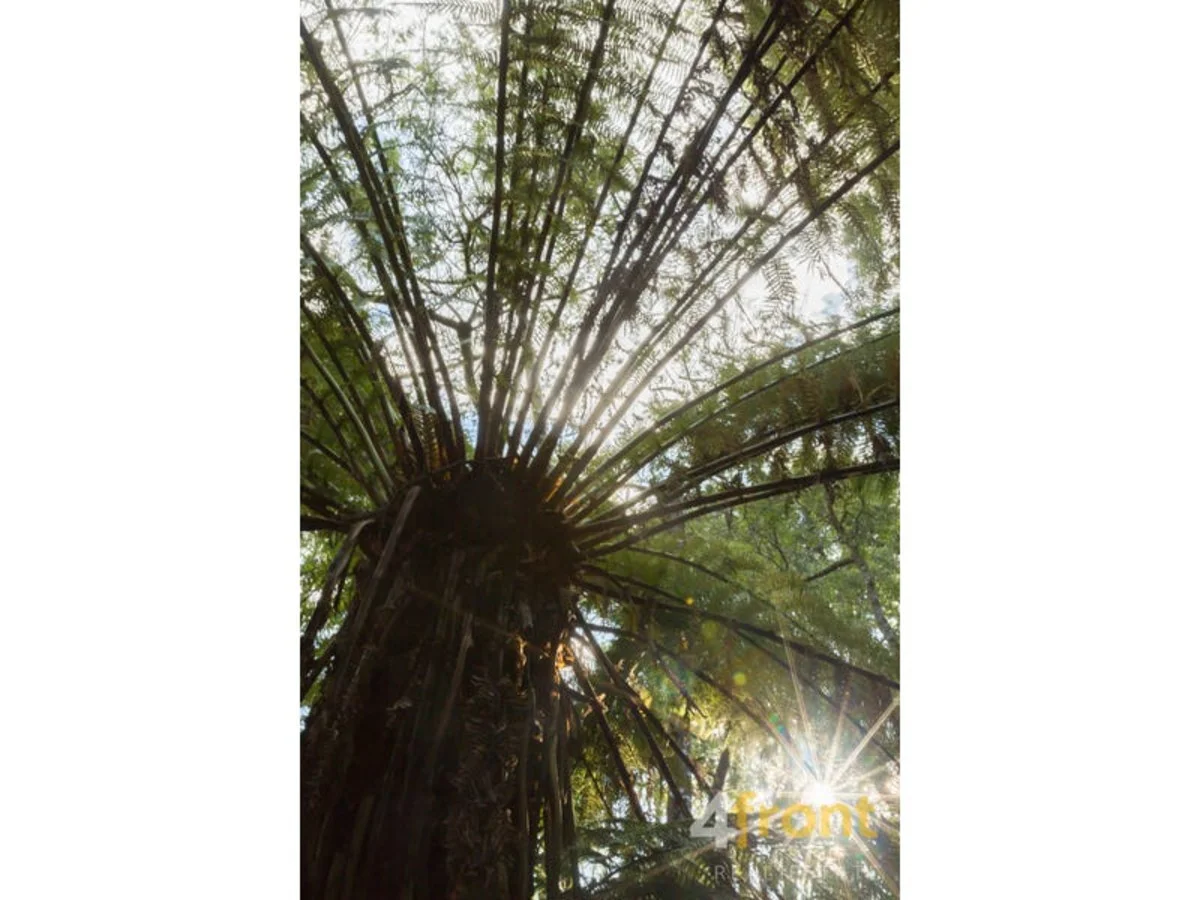 Additional image 27 of 273 Burns Road, Wyena TAS 7254