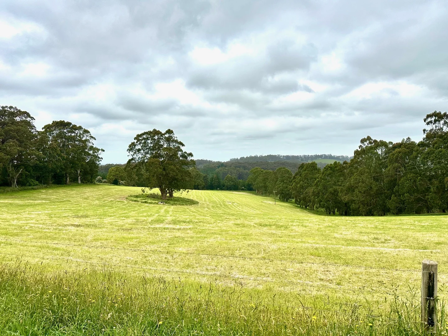 Additional image 6 of 655 Old Thorpdale Road, Mirboo North VIC 3871