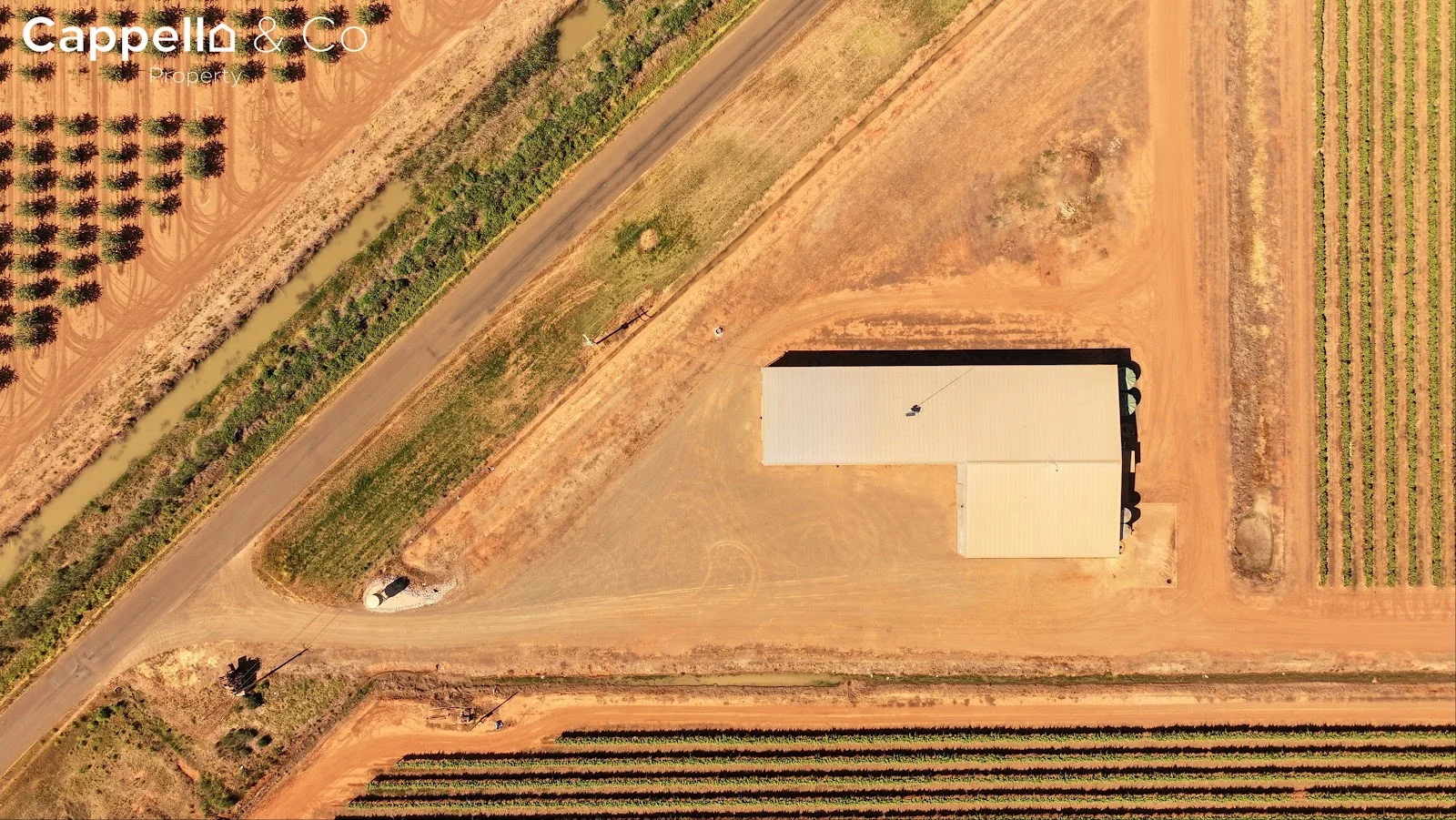 Additional image 7 of 244 Walla Avenue, Griffith NSW 2680