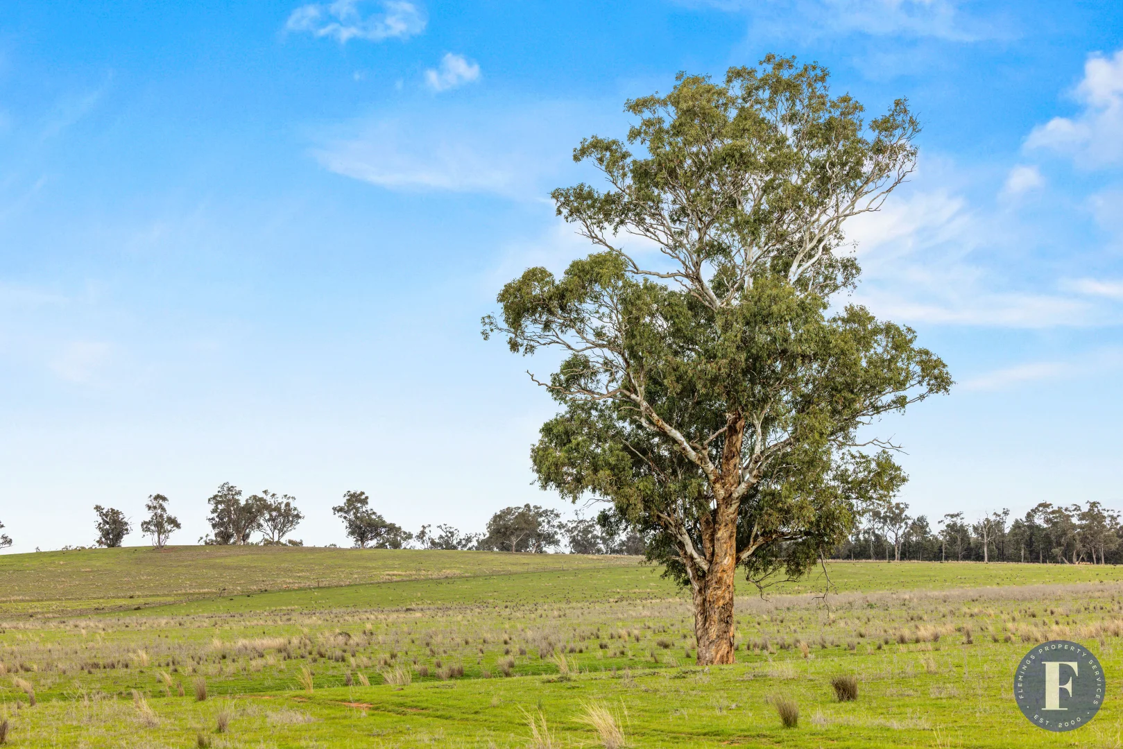 Additional image 23 of 893 Deaths Lane, Pullabooka NSW 2810