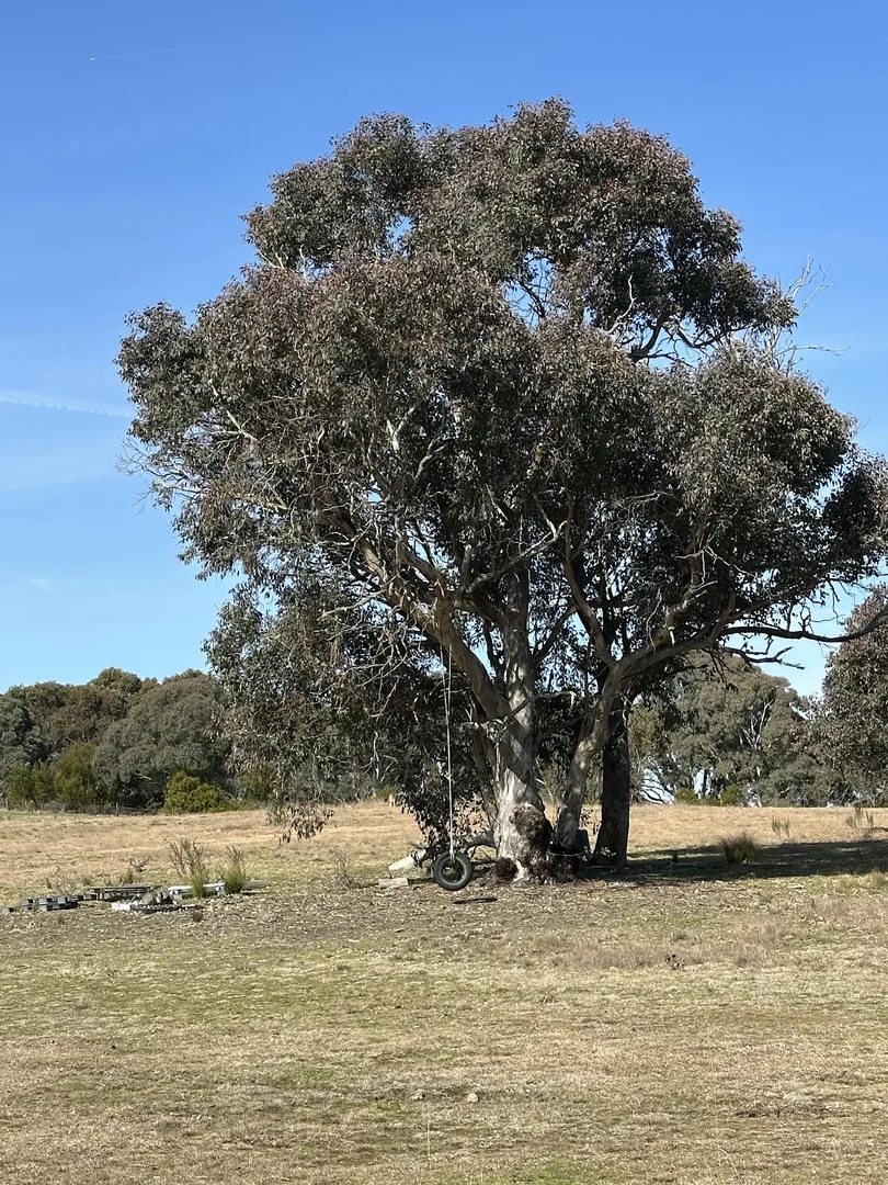 Additional image 46 of 2102 Kiowarrah Road, Bevendale NSW 2581