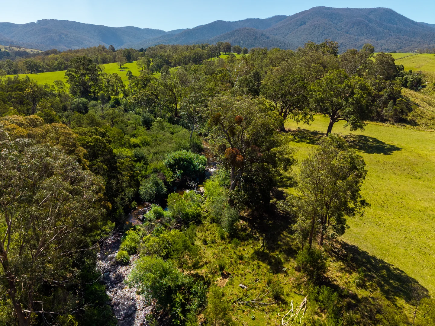 Additional image 25 of 247 Brown Pearsons Road, Bemboka NSW 2550