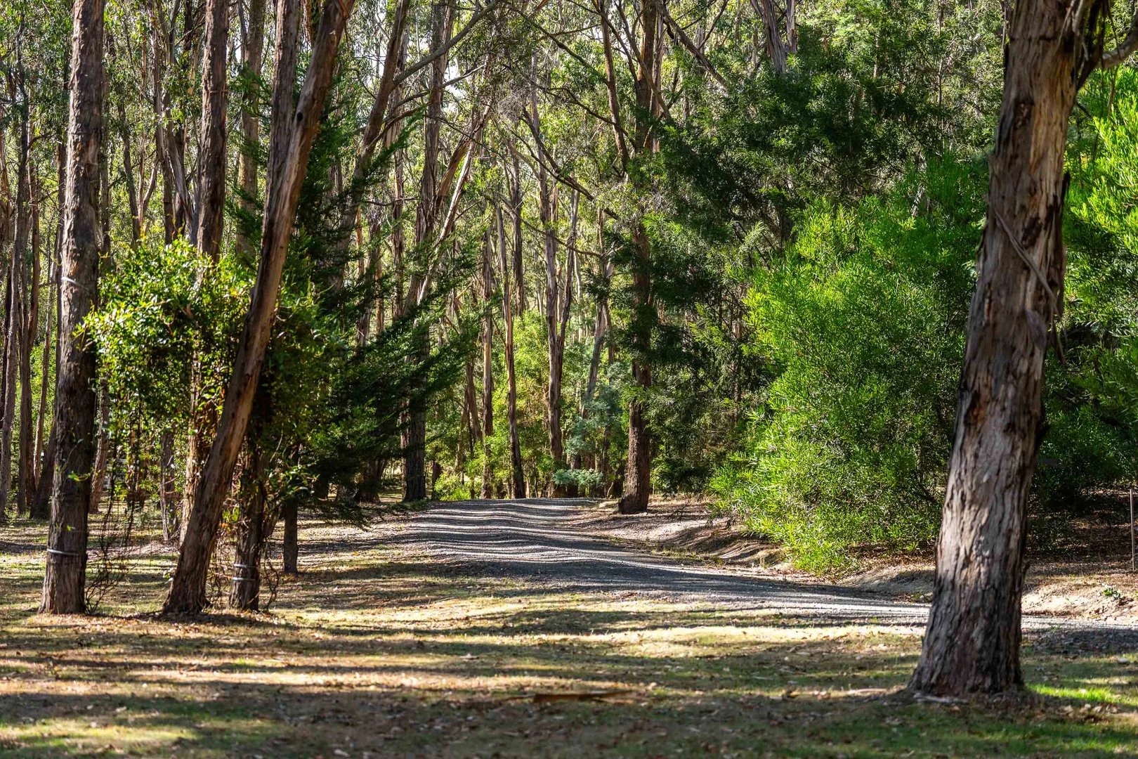 Additional image 27 of 220 Blackmore Road, Woodend VIC 3442